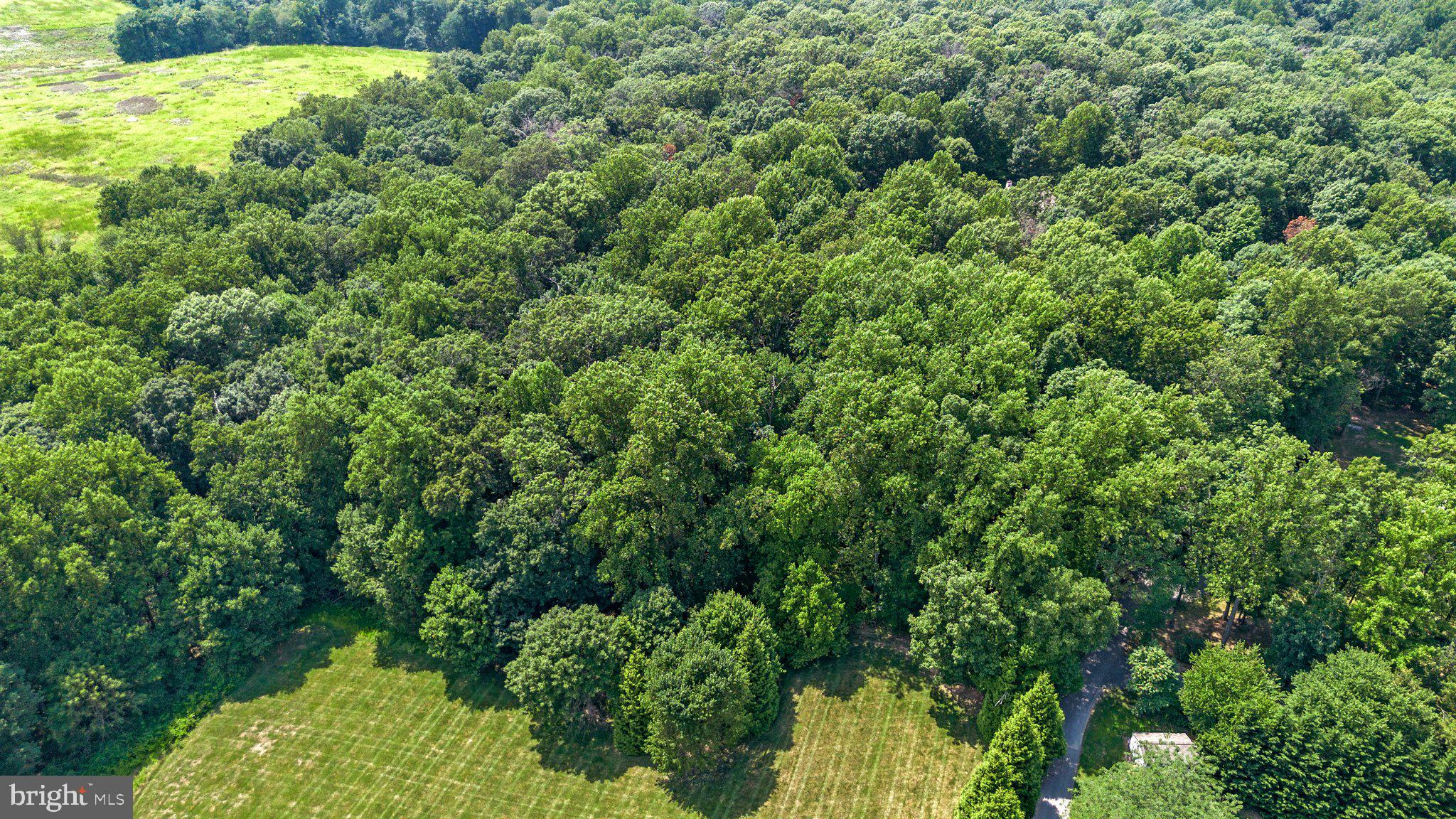 2015 Sleepy Hollow Drive