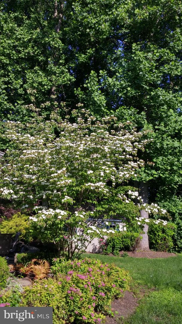 6112 RIPPLING TIDES TERRACE