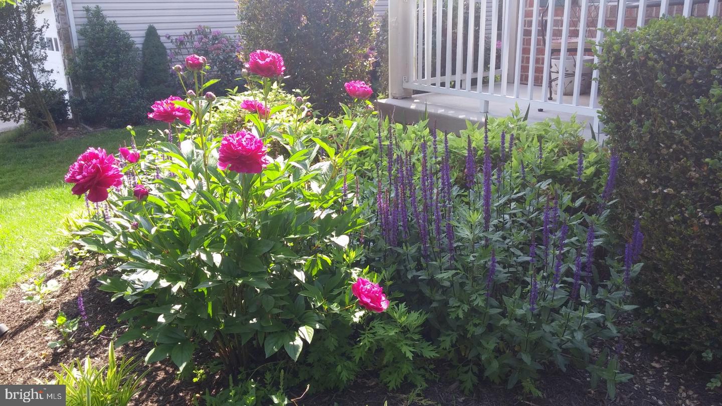 6112 RIPPLING TIDES TERRACE