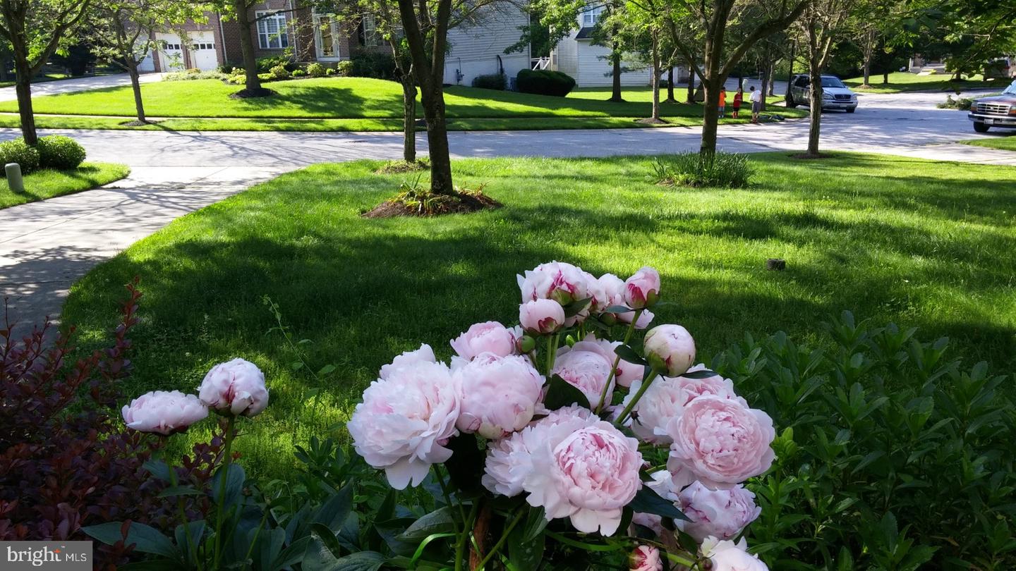 6112 RIPPLING TIDES TERRACE