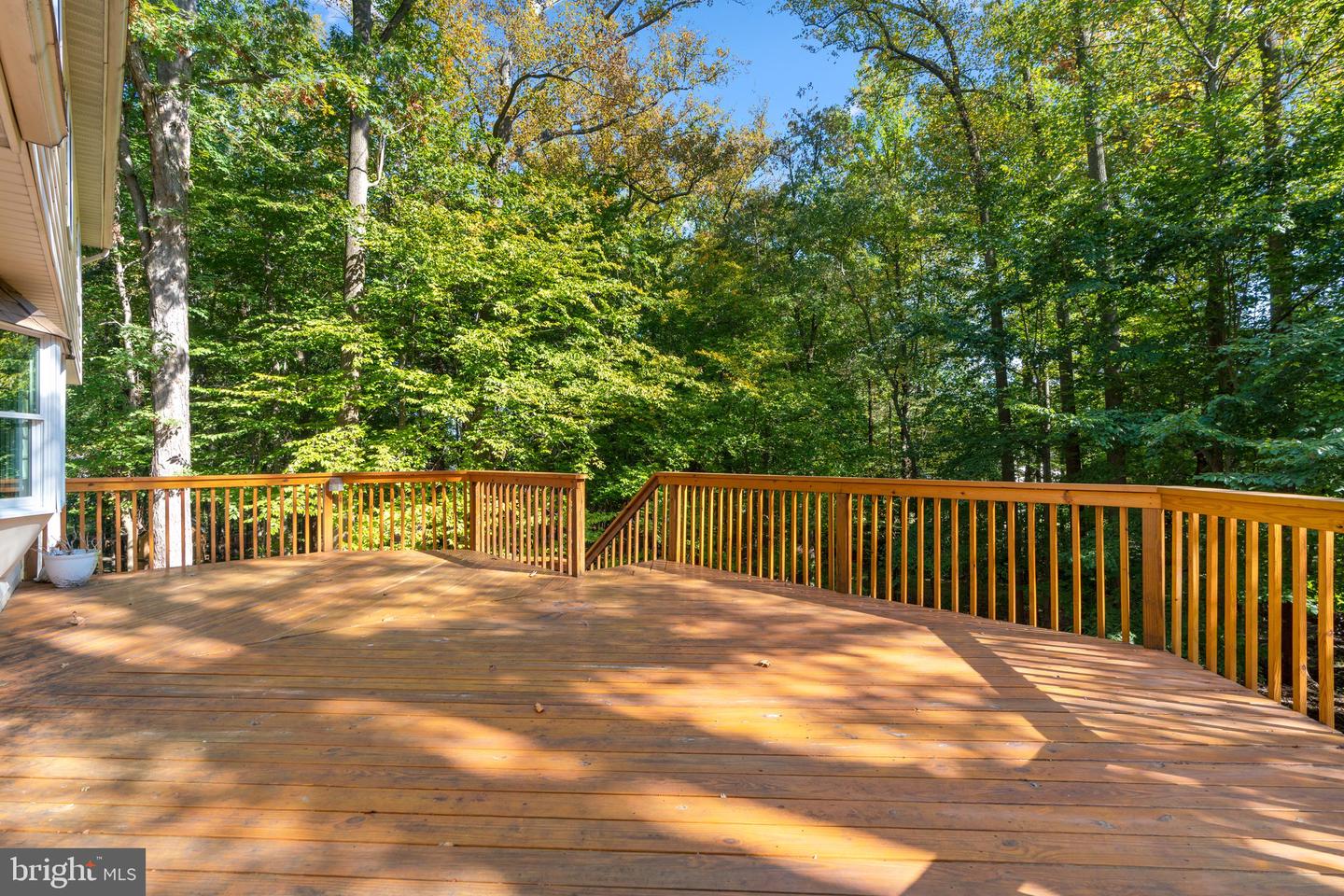 8101 WOODLOO DRIVE