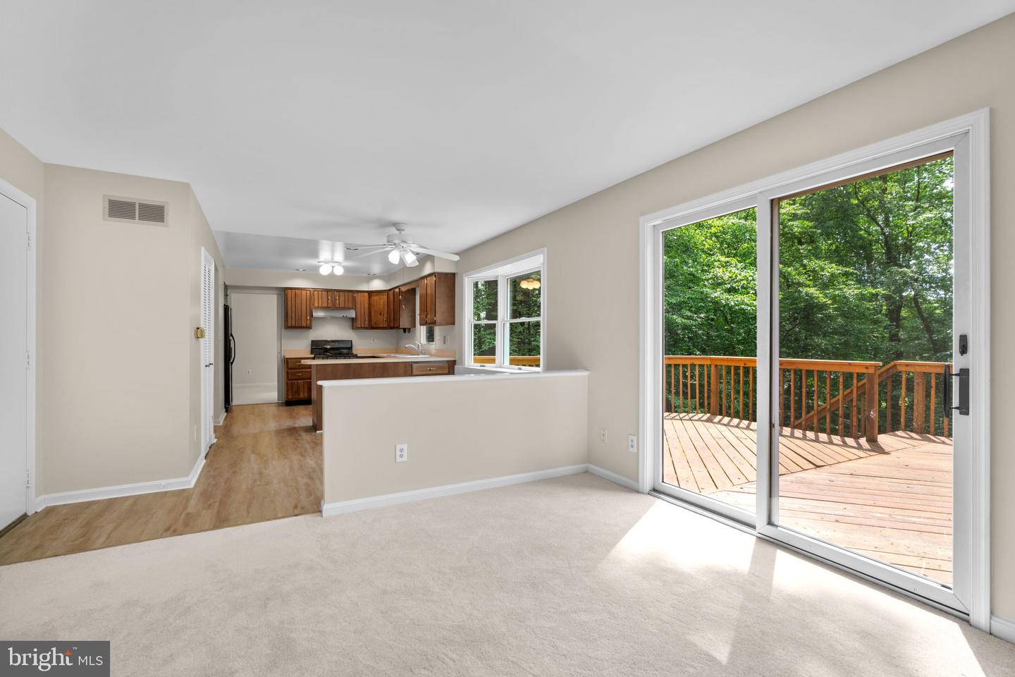 8101 WOODLOO DRIVE