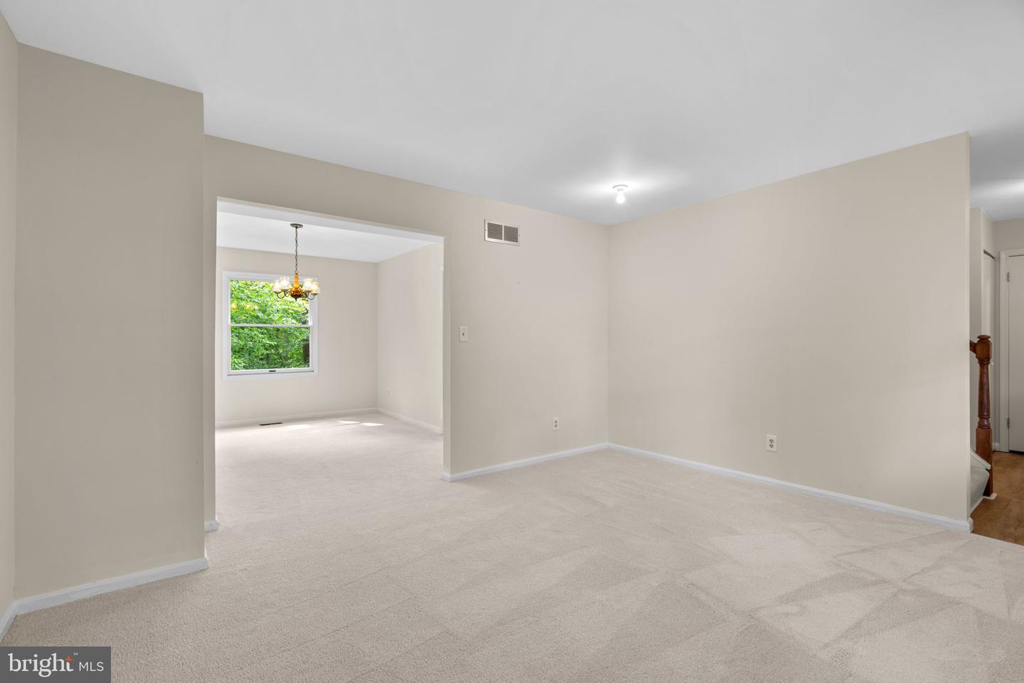 8101 WOODLOO DRIVE