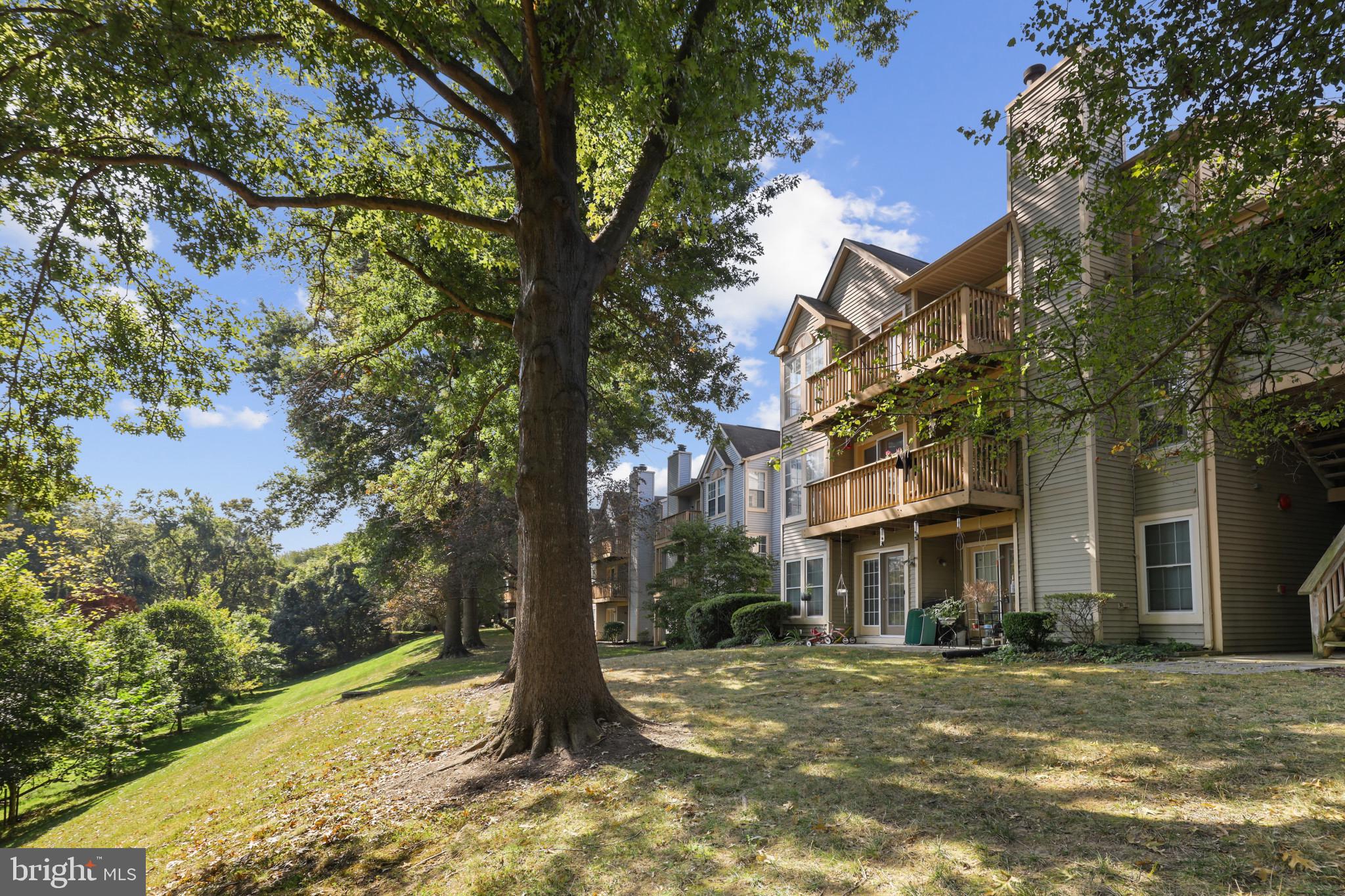 4716 DORSEY HALL DRIVE Unit: 509