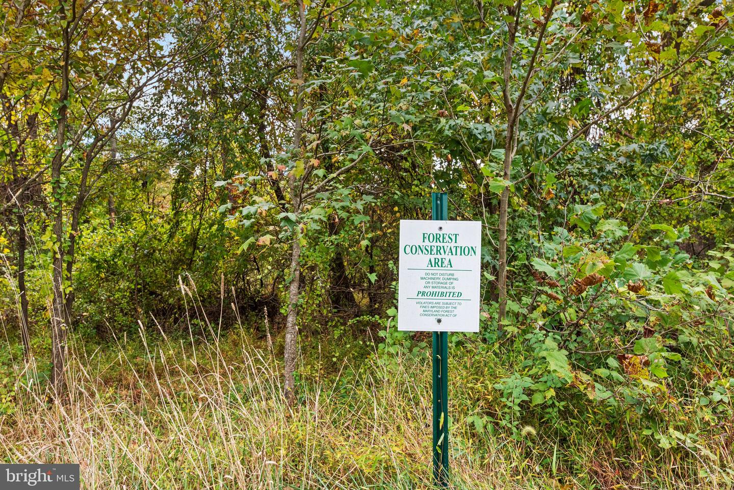6025 Hidden MEADOW