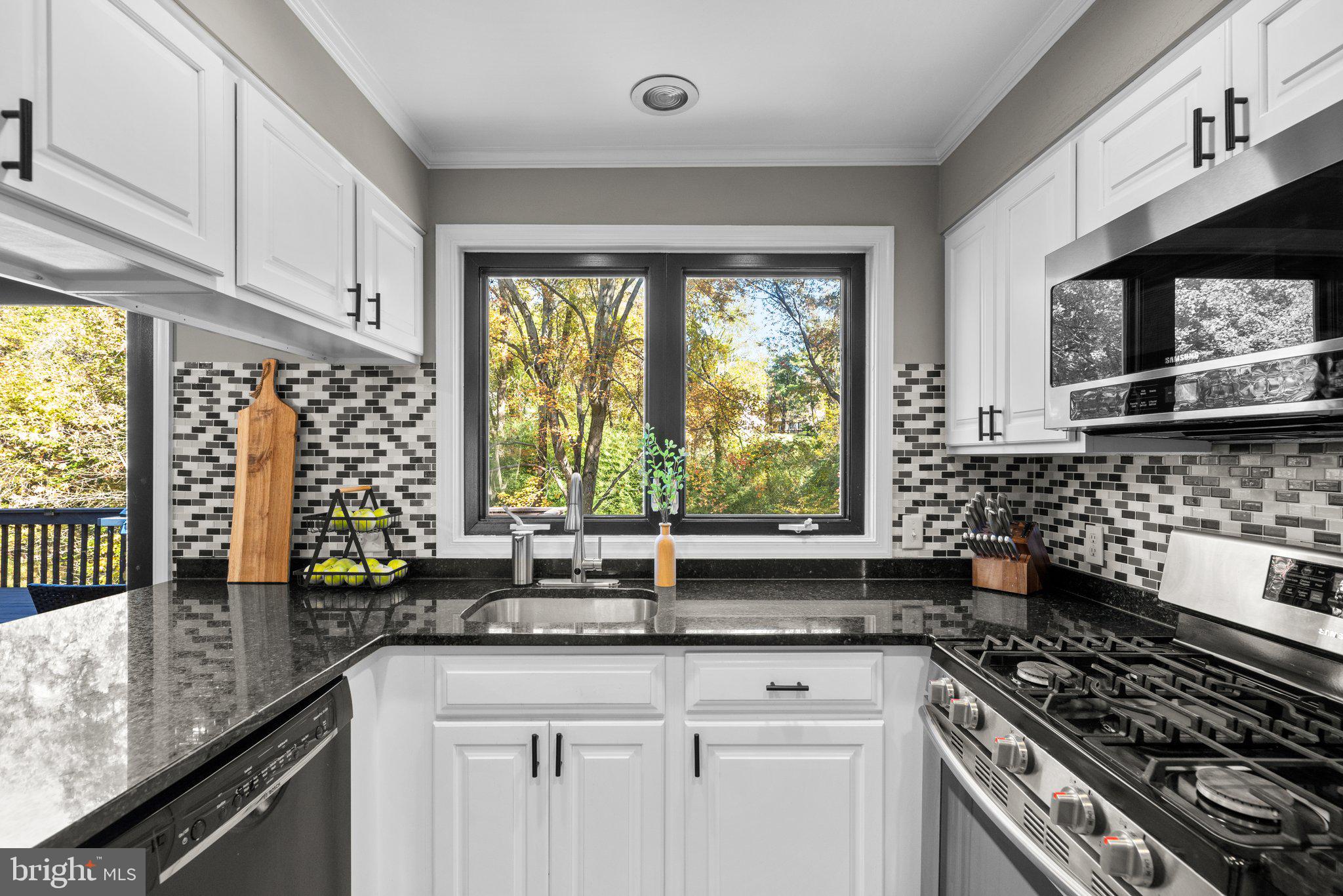 9512 Longlook LANE N