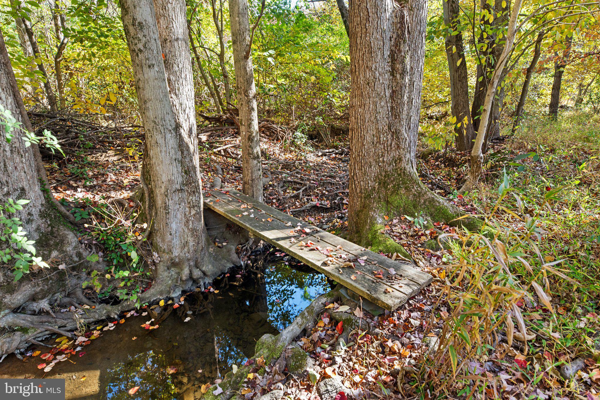 9512 Longlook LANE N