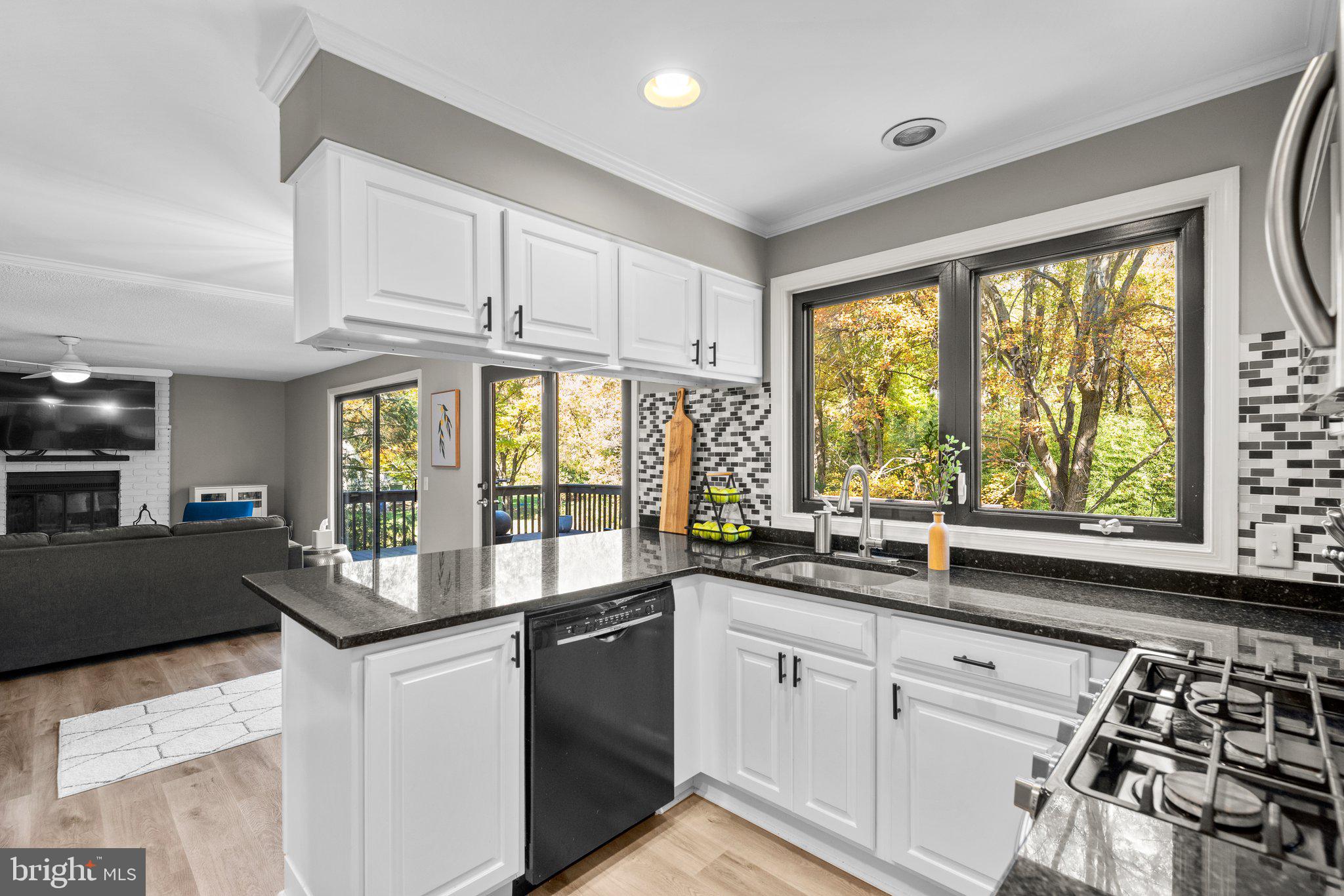 9512 Longlook LANE N