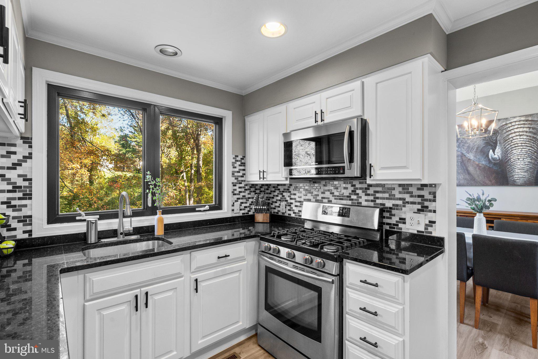 9512 Longlook LANE N