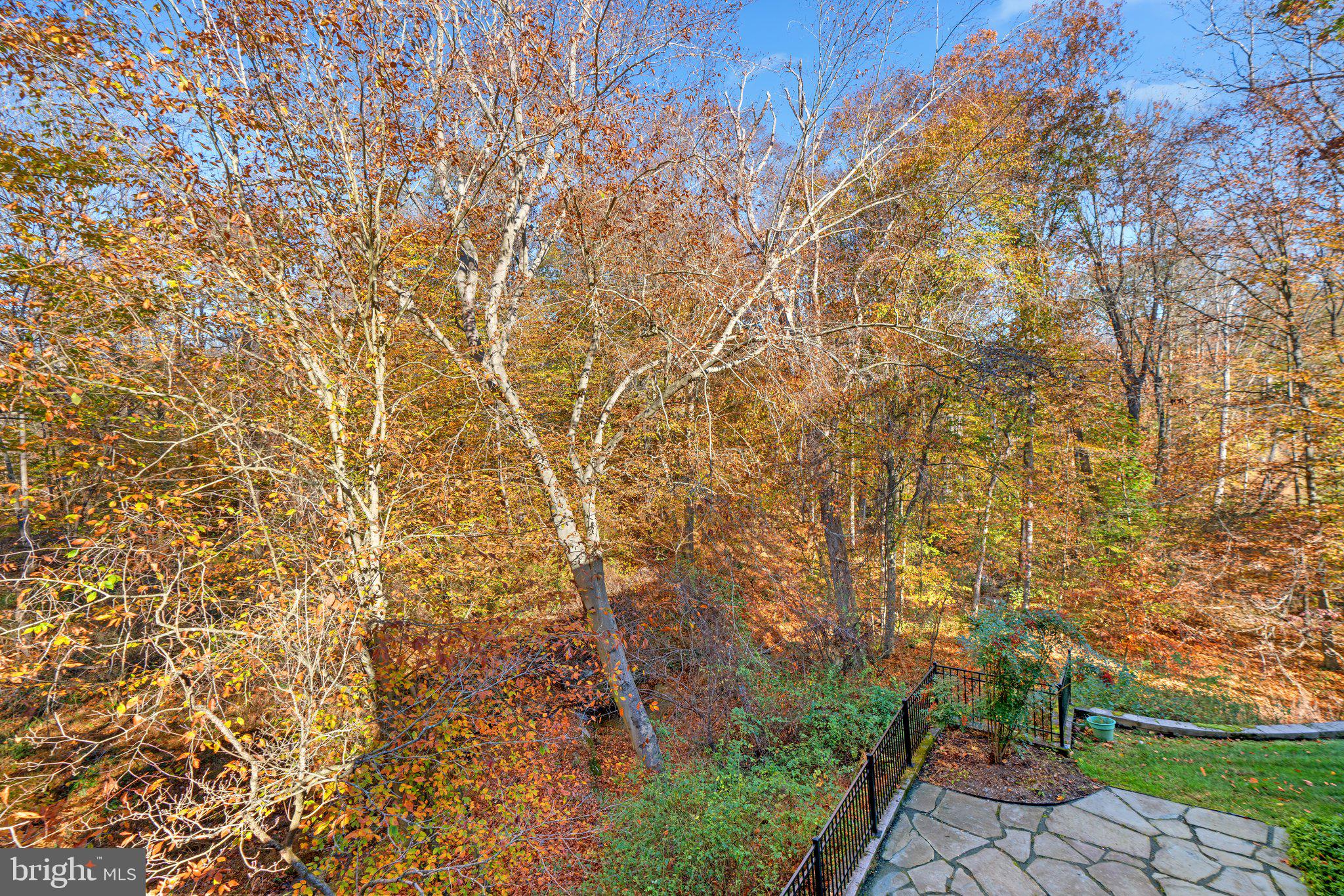 10659 Breezewood DRIVE