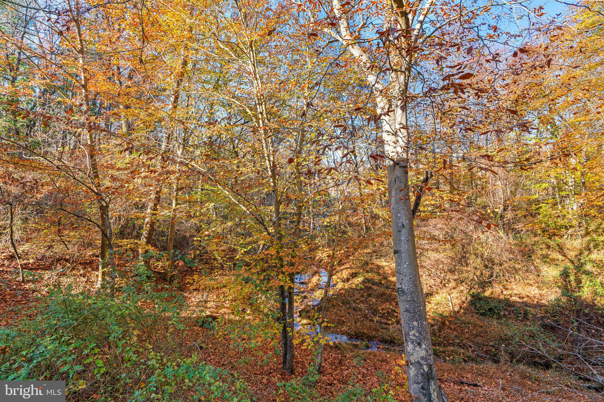 10659 Breezewood DRIVE