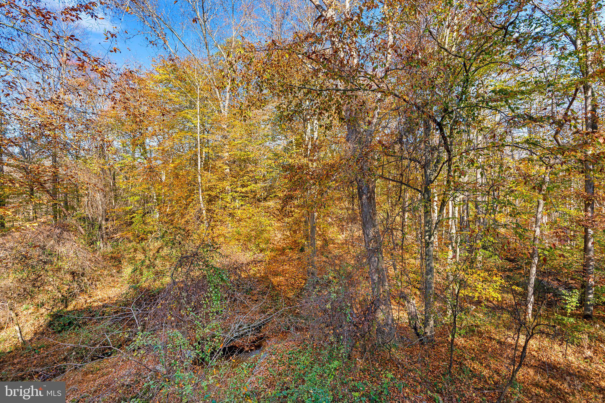 10659 Breezewood DRIVE