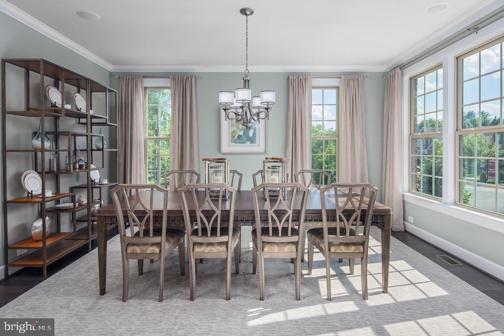 8401 Bald Eagle COURT