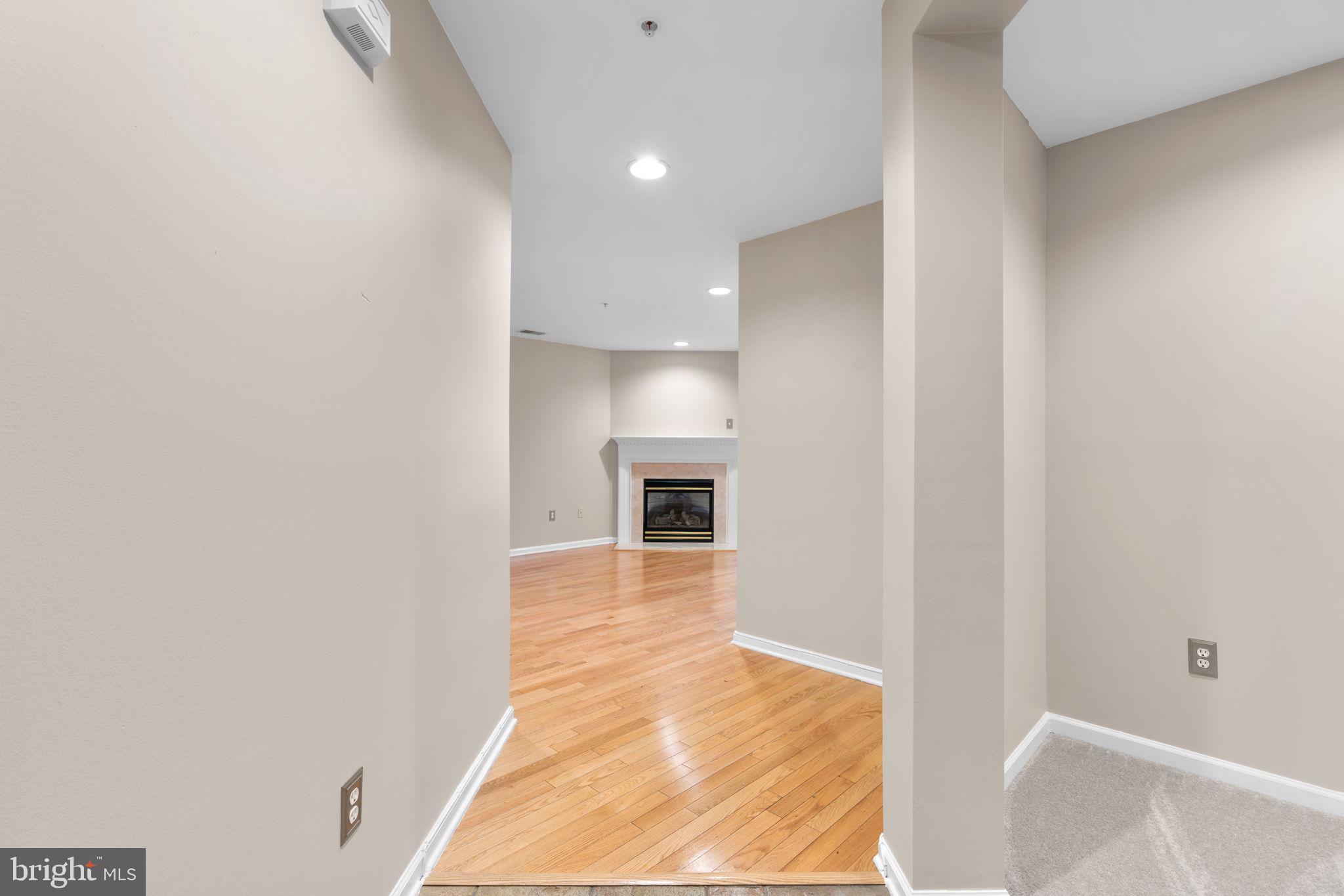 6225 Wild Swan Way #102