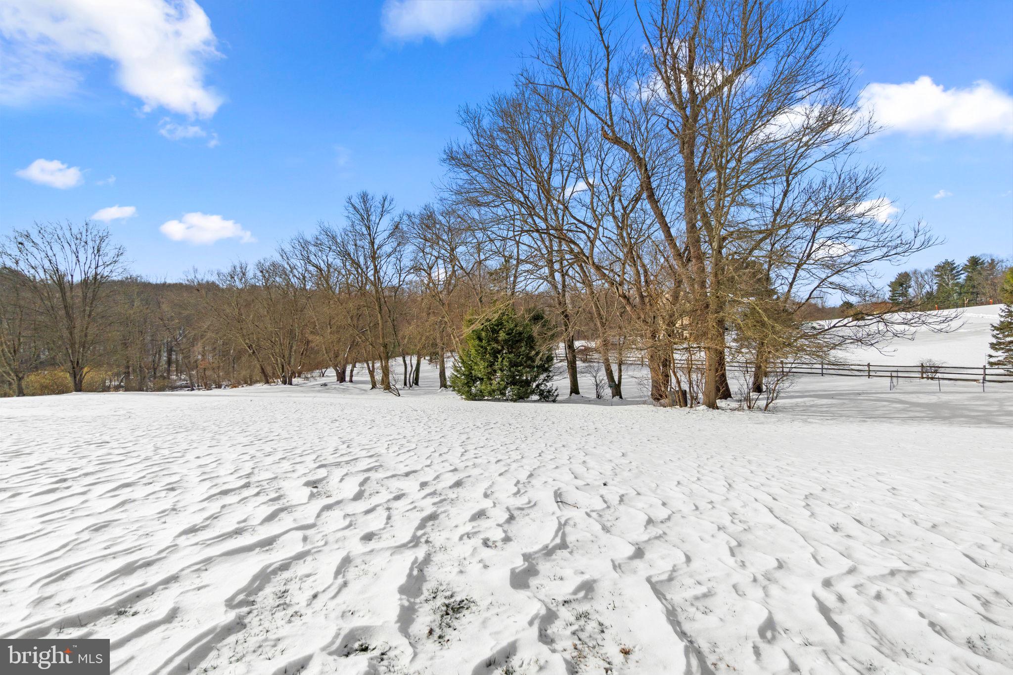 3273 Starting Gate Ct