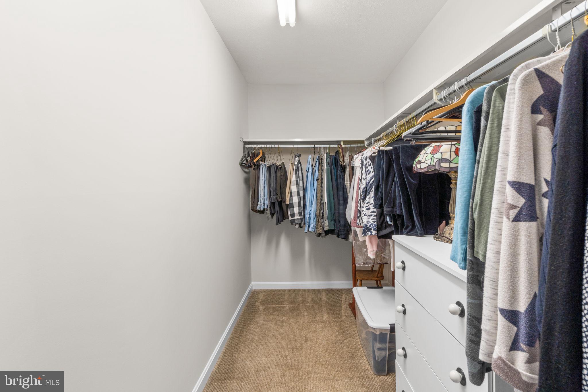 3273 Starting Gate Ct