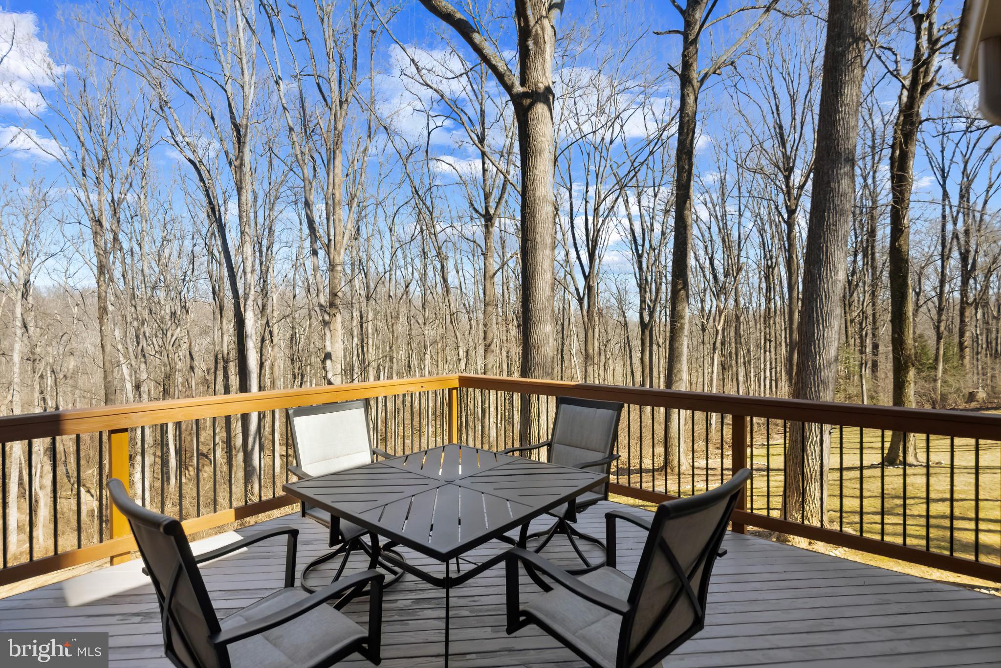 12410 Triadelphia Rd