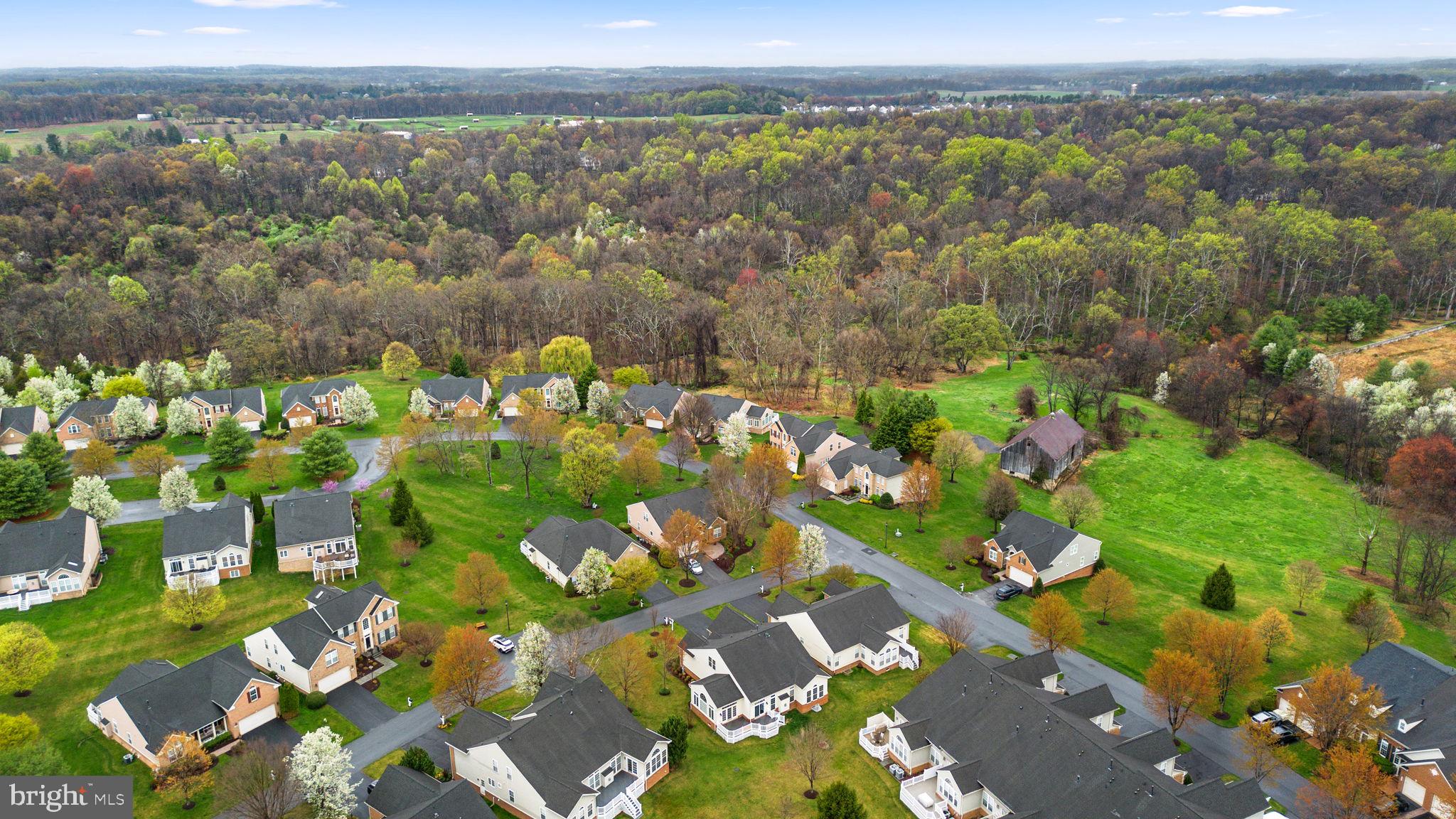 3703 Cattail Greens Ct