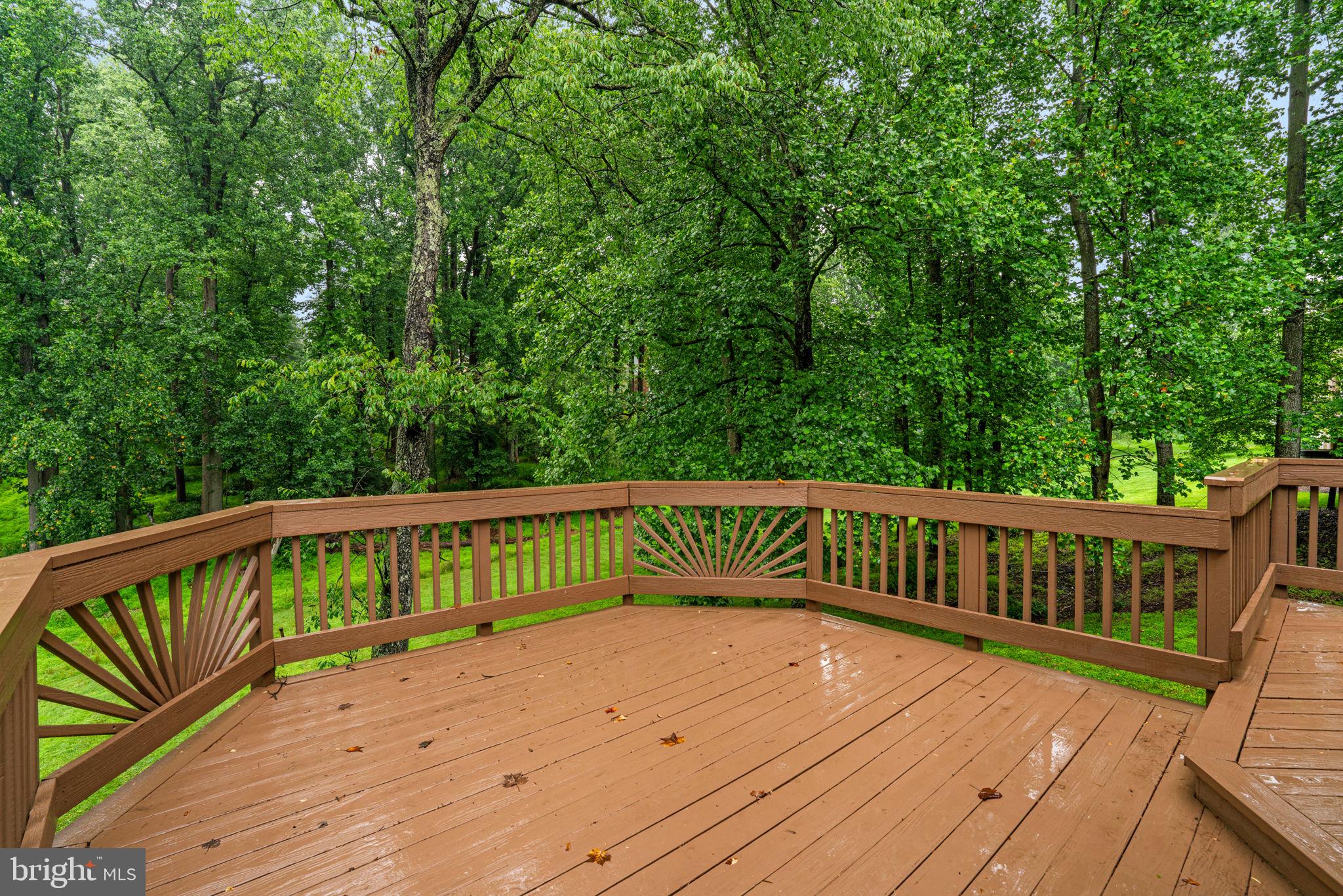 9010 Elmonte Woods Way