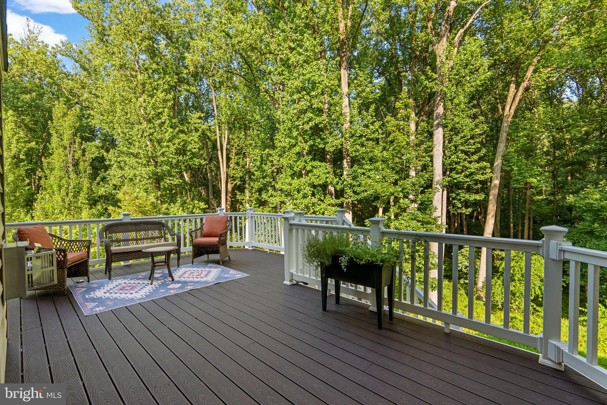 11040 Fuzzy Hollow Way