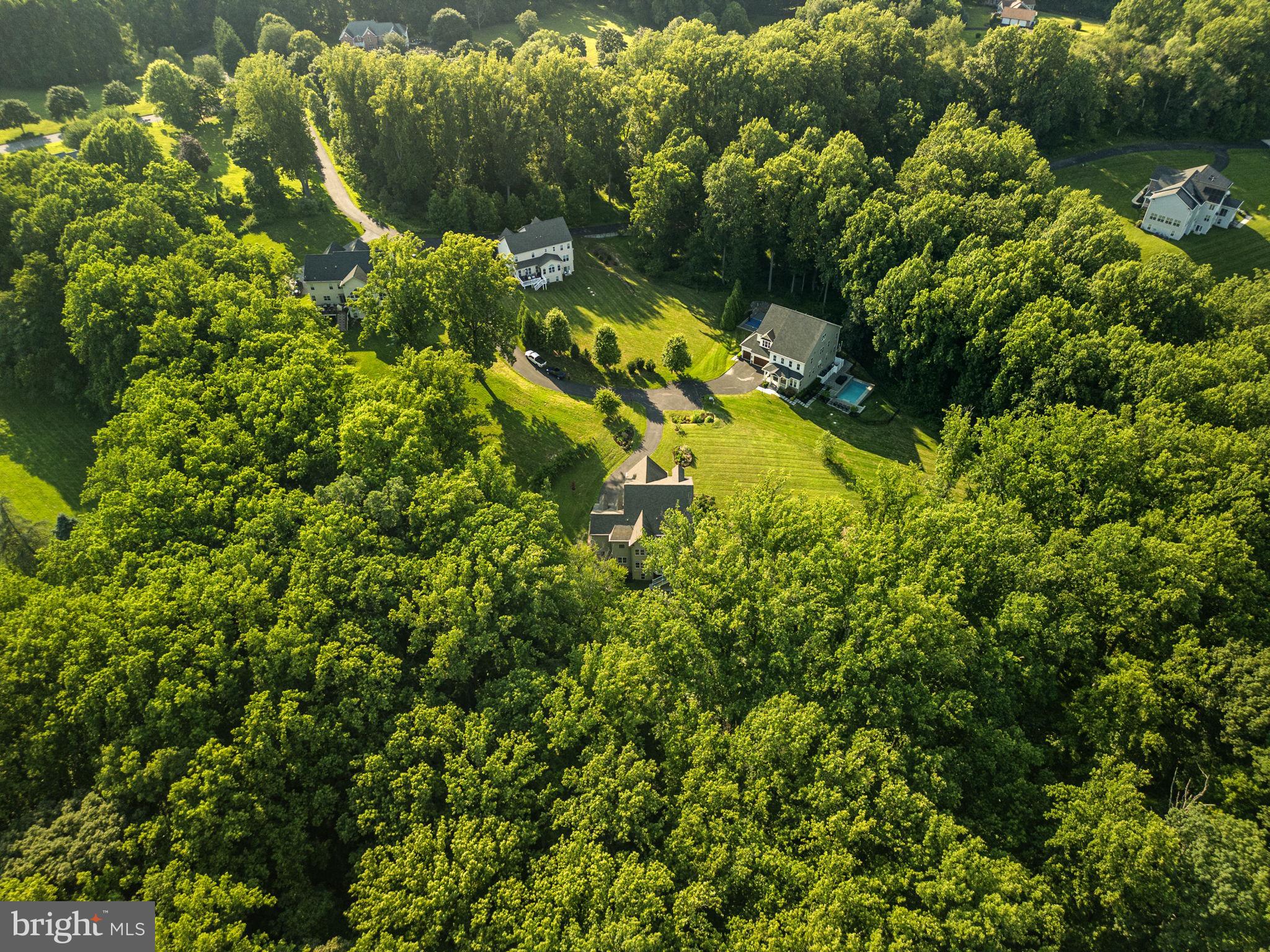 11040 Fuzzy Hollow Way