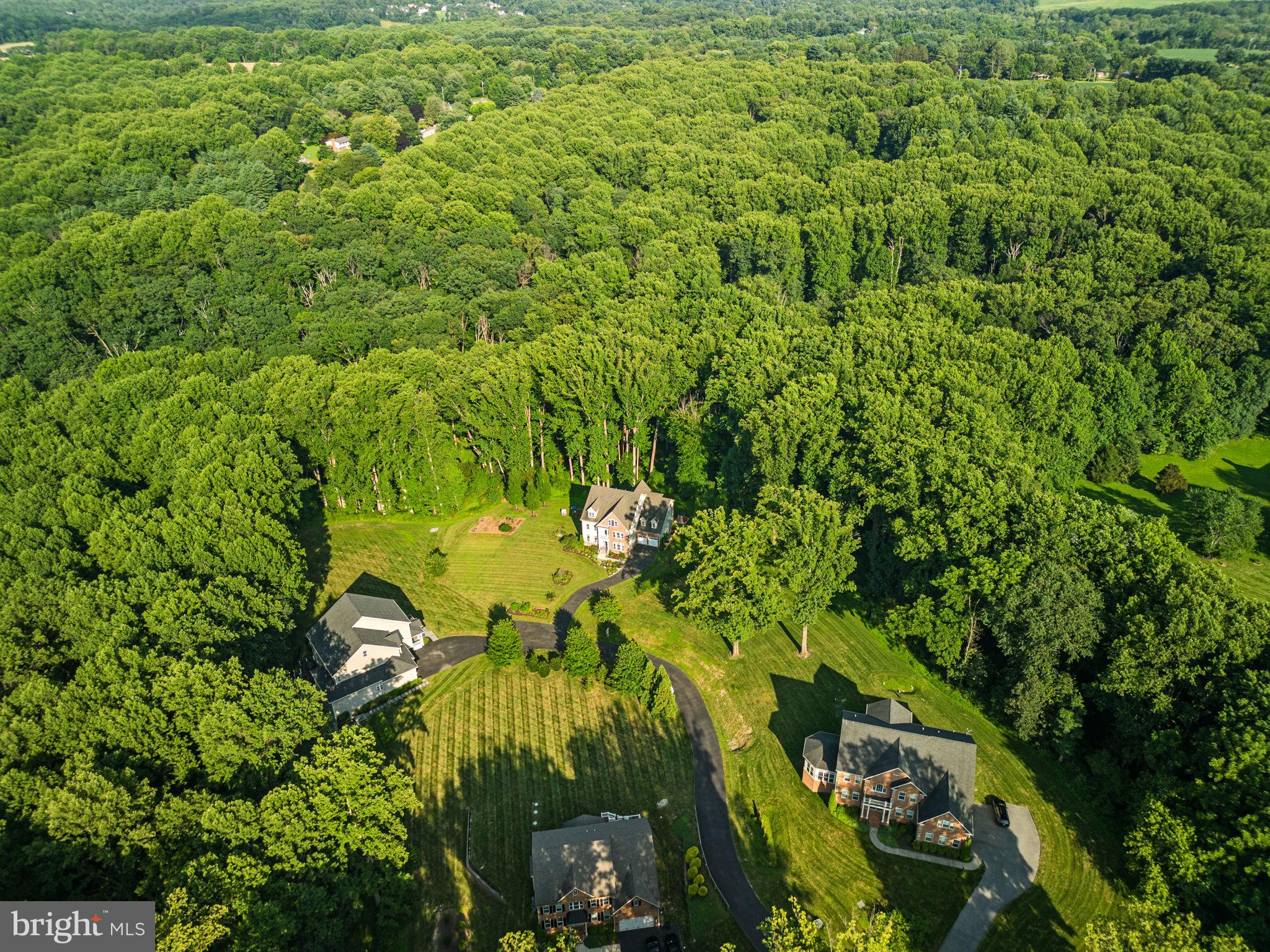 11040 Fuzzy Hollow Way