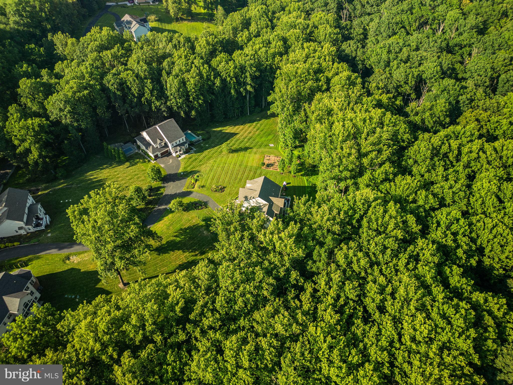 11040 Fuzzy Hollow Way