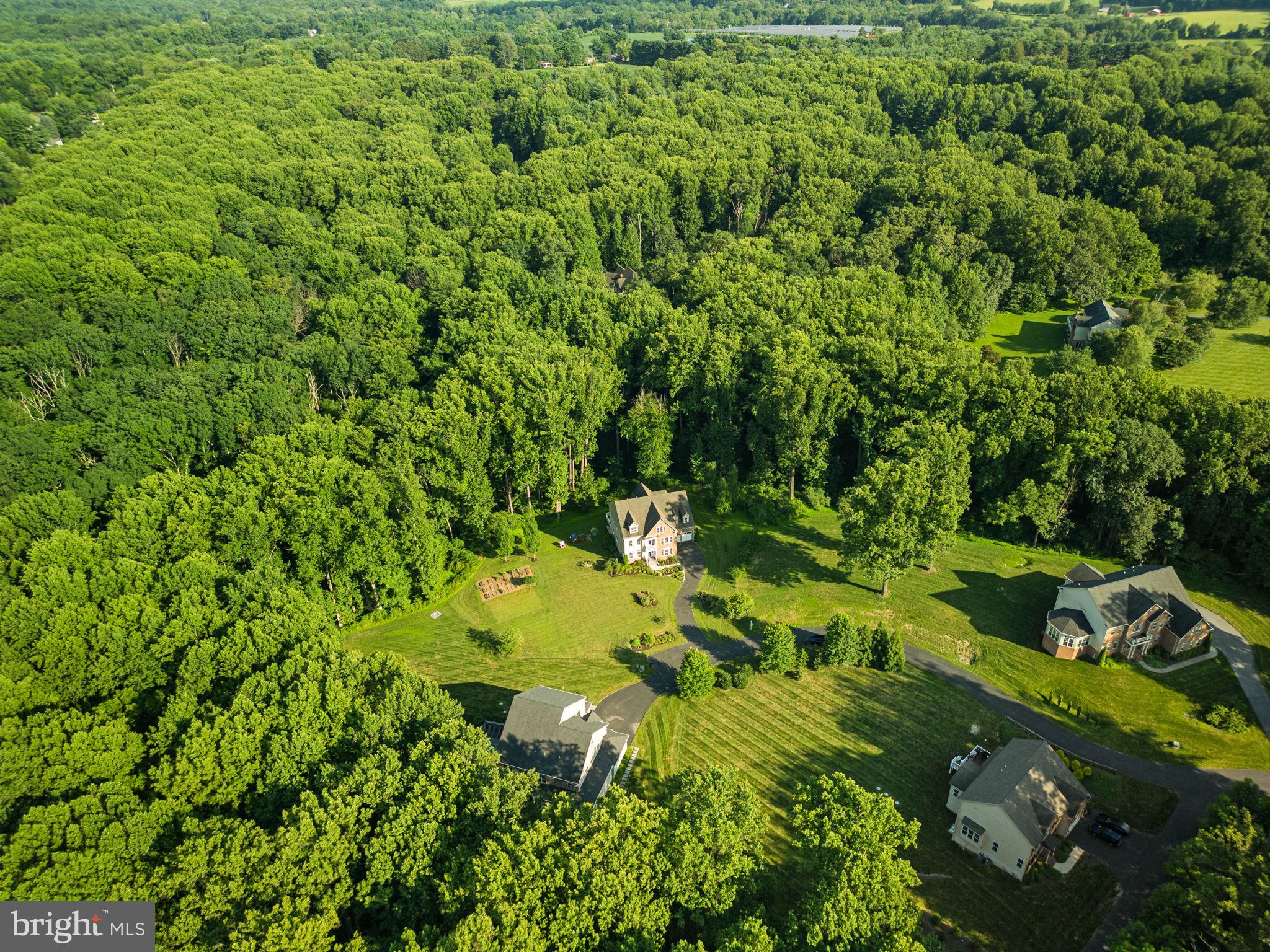 11040 Fuzzy Hollow Way