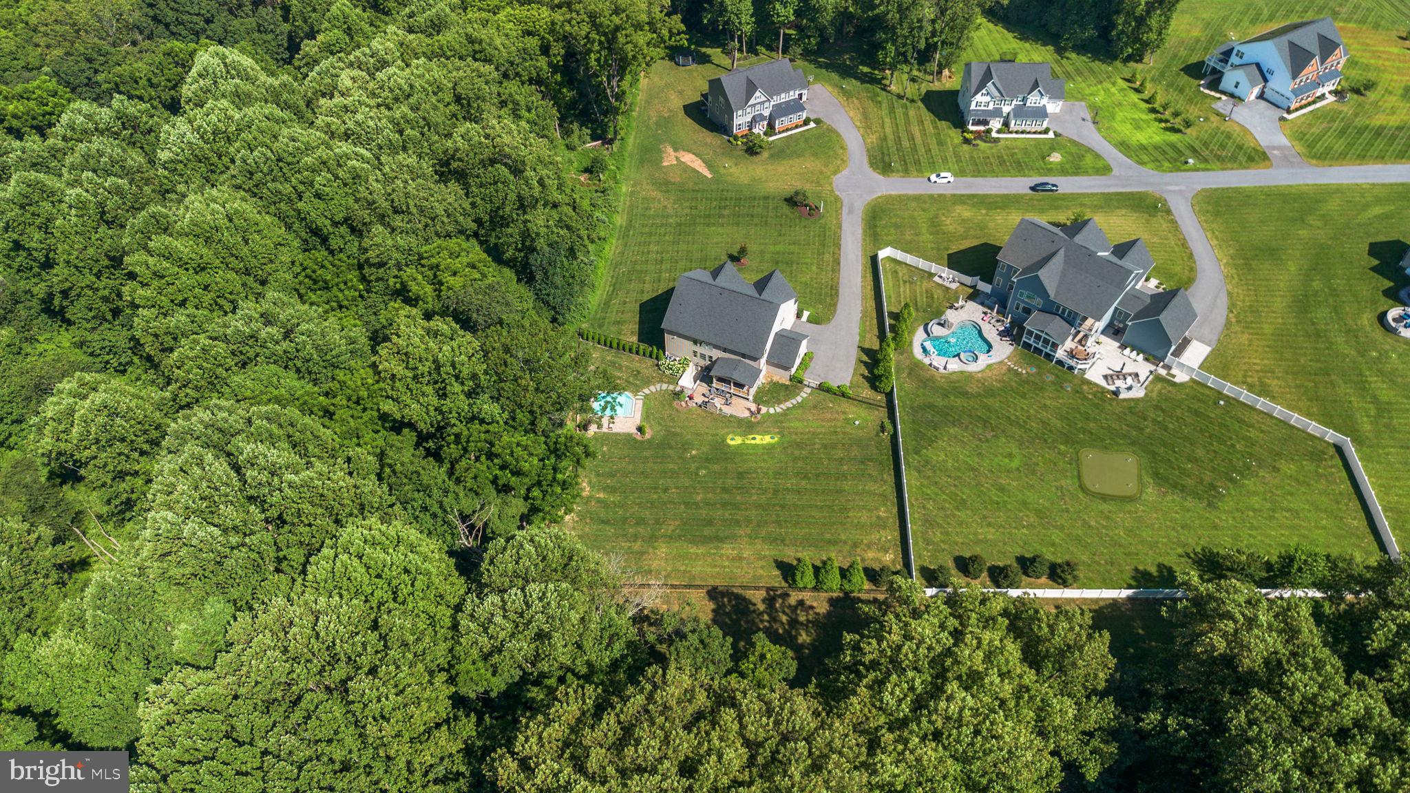 1013 High Stepper Trl