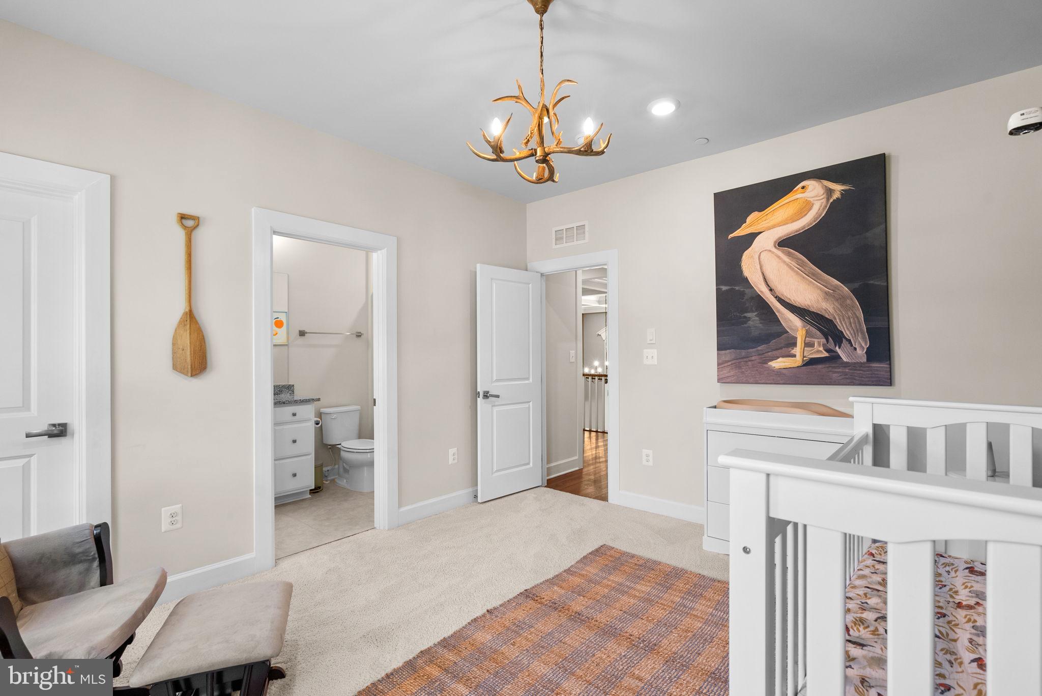 1013 High Stepper Trl