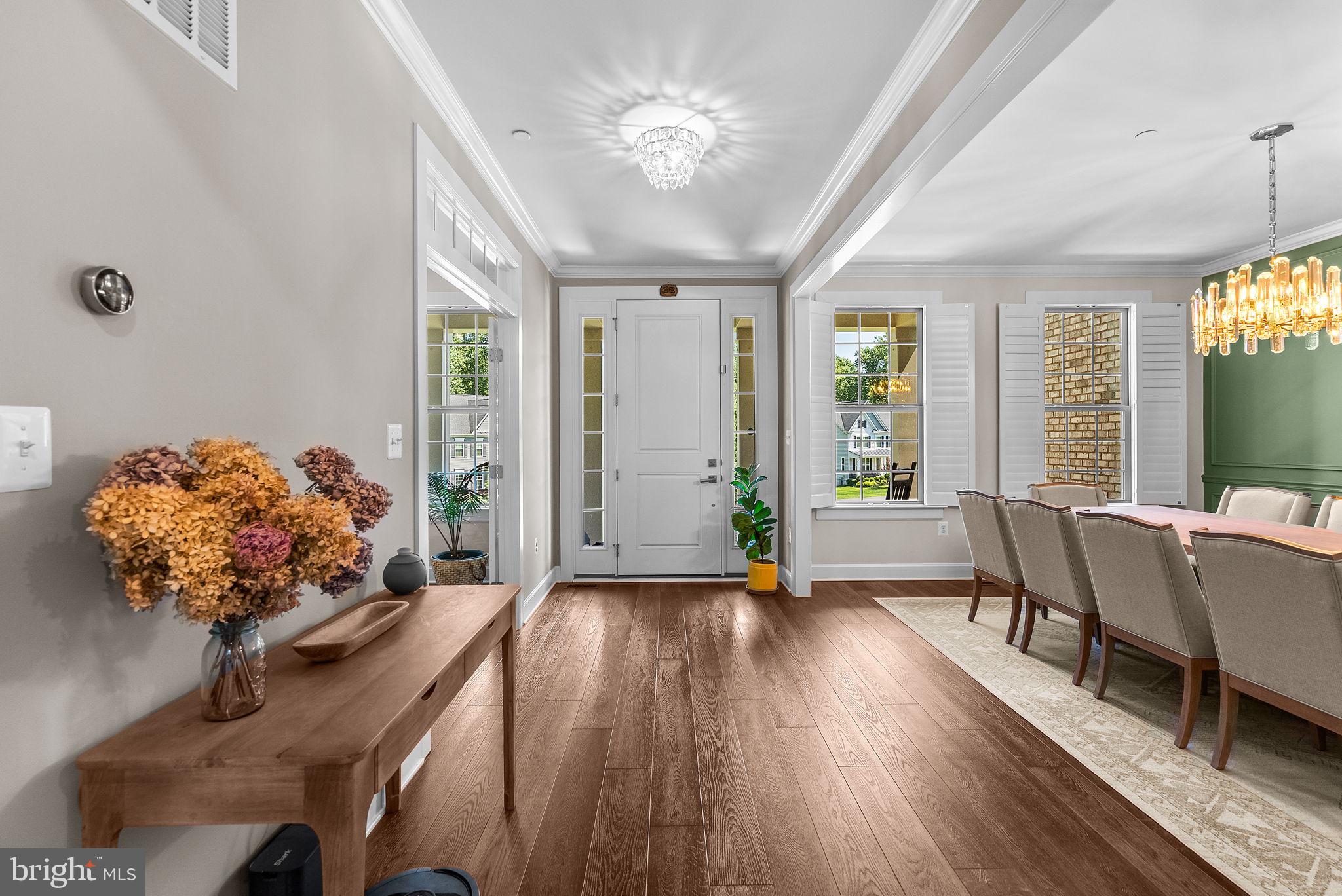 1013 High Stepper Trl