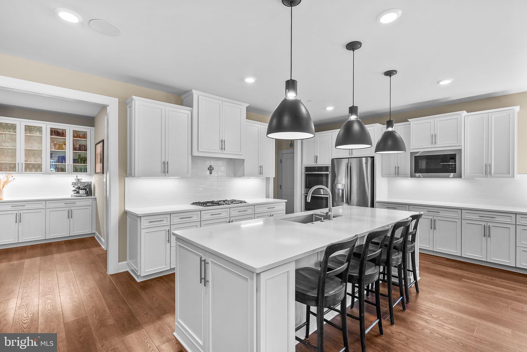 1013 High Stepper Trl