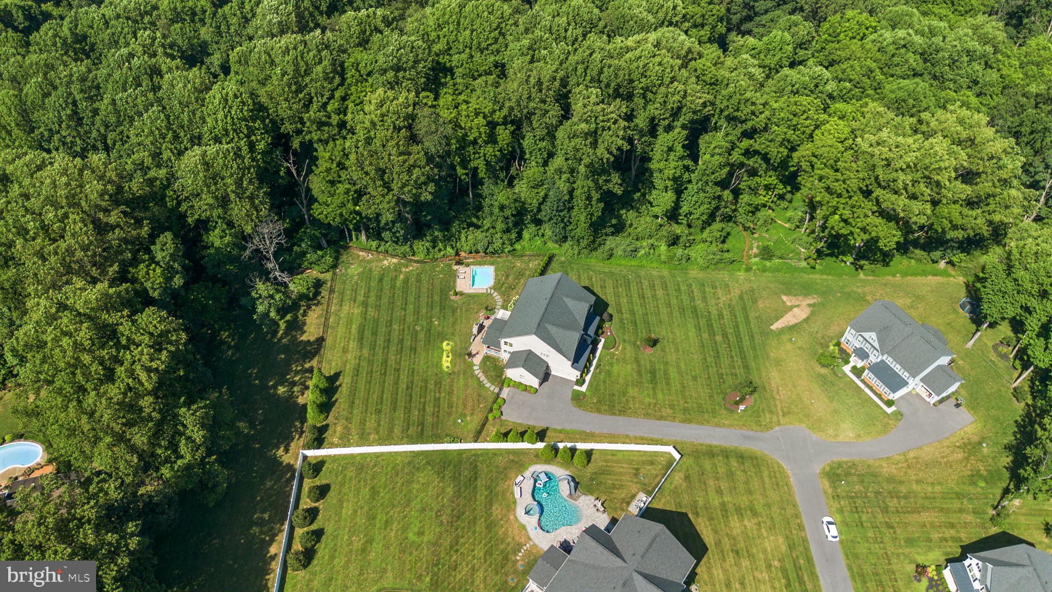 1013 High Stepper Trl