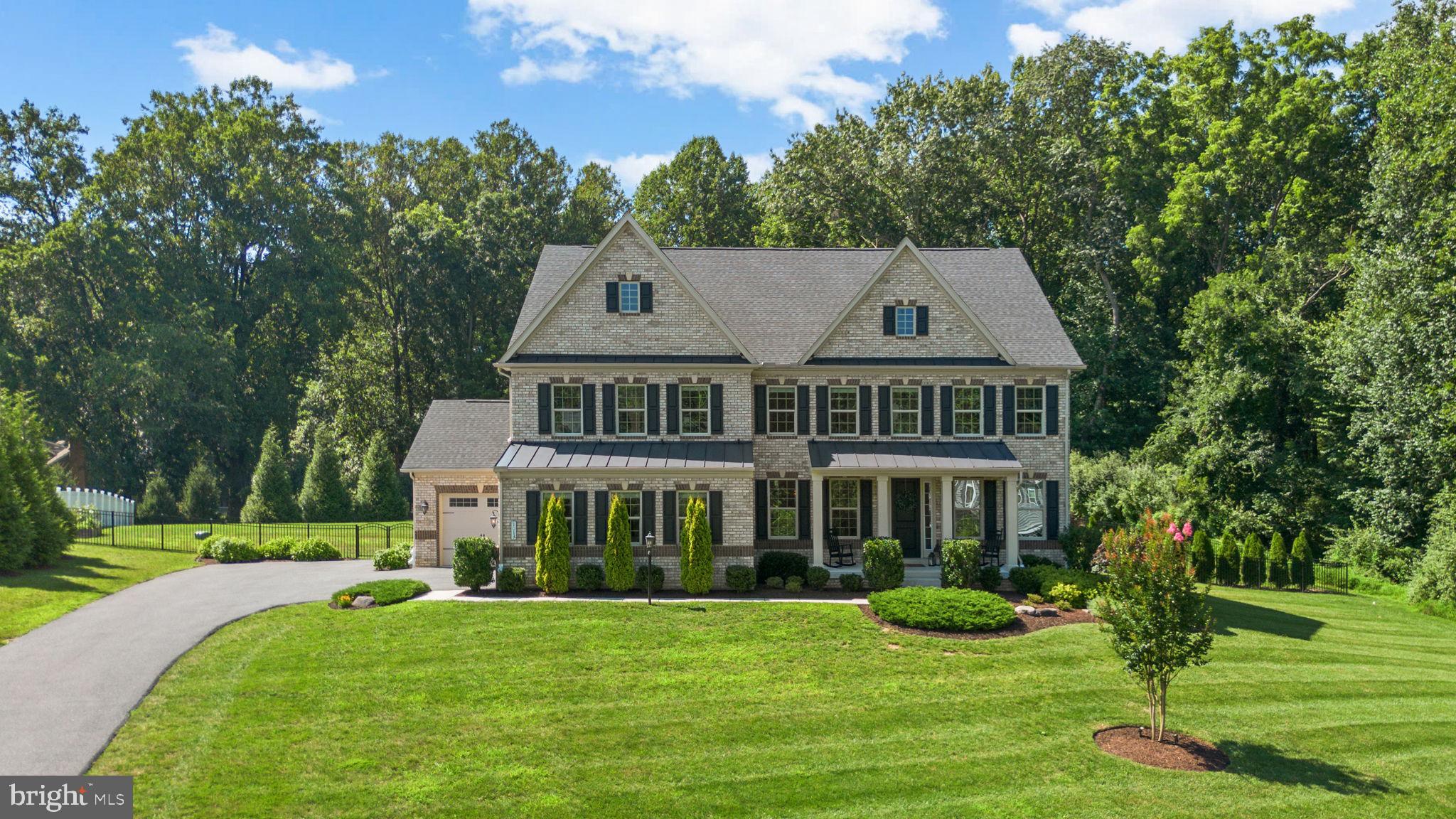 1013 High Stepper Trl