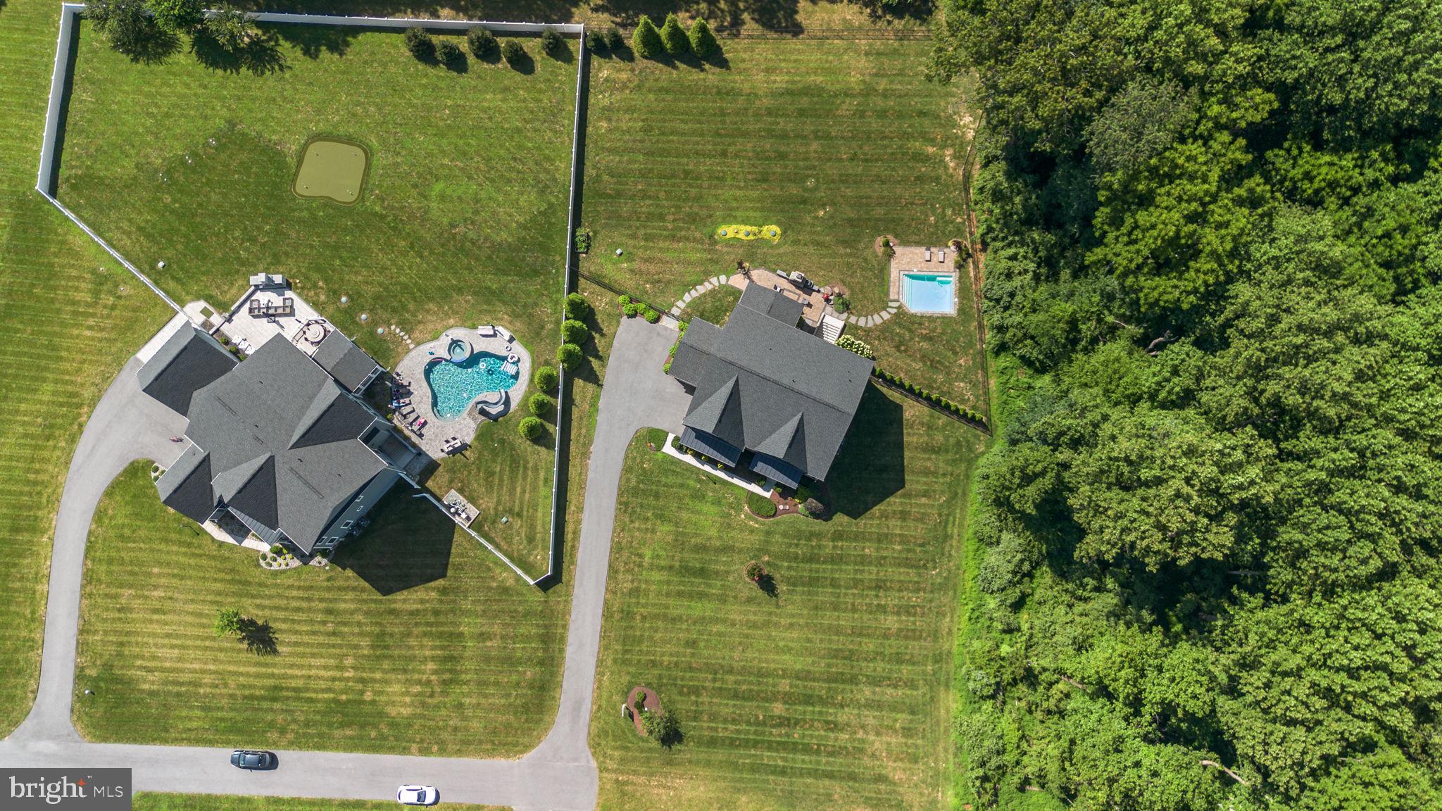 1013 High Stepper Trl