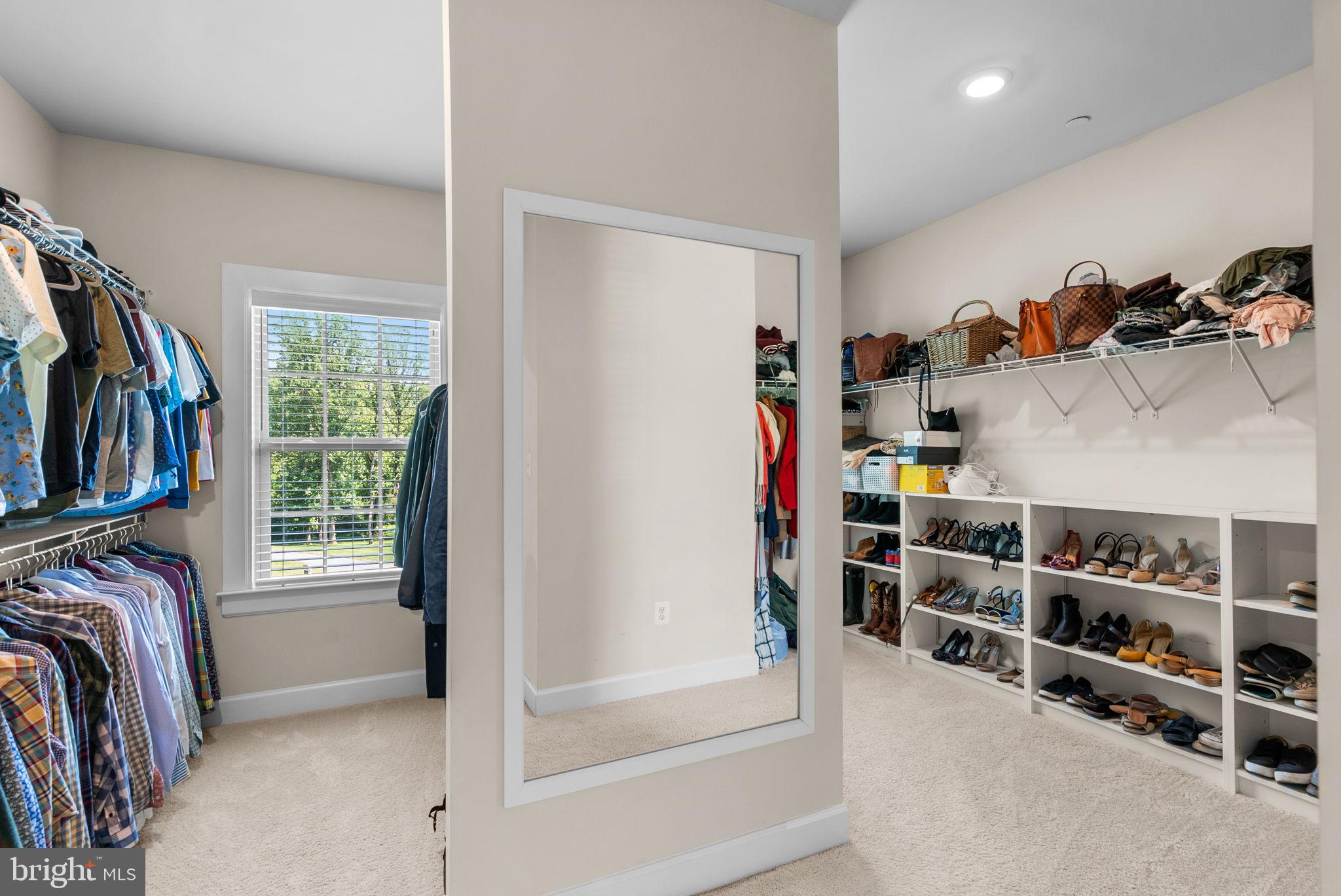 1013 High Stepper Trl