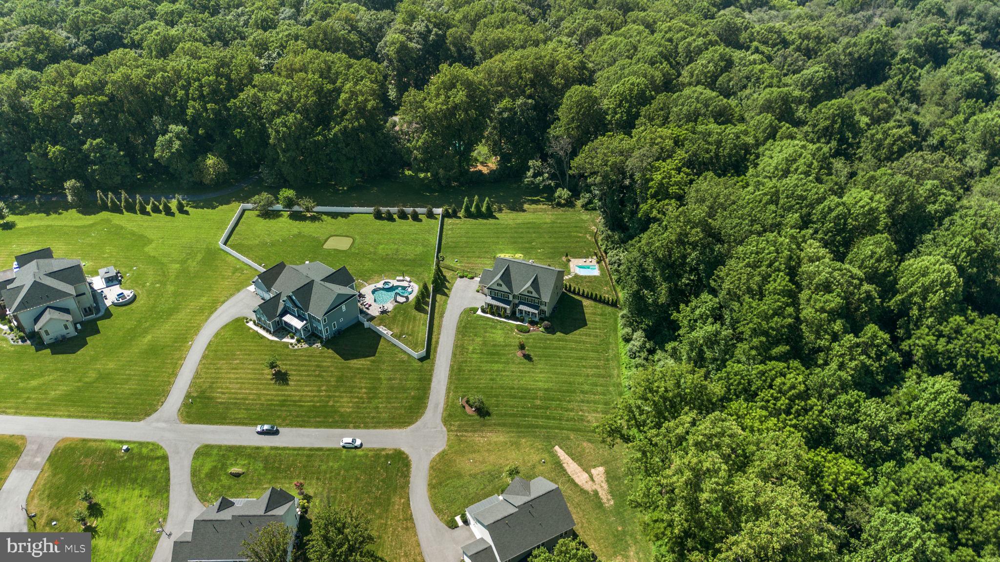 1013 High Stepper Trl