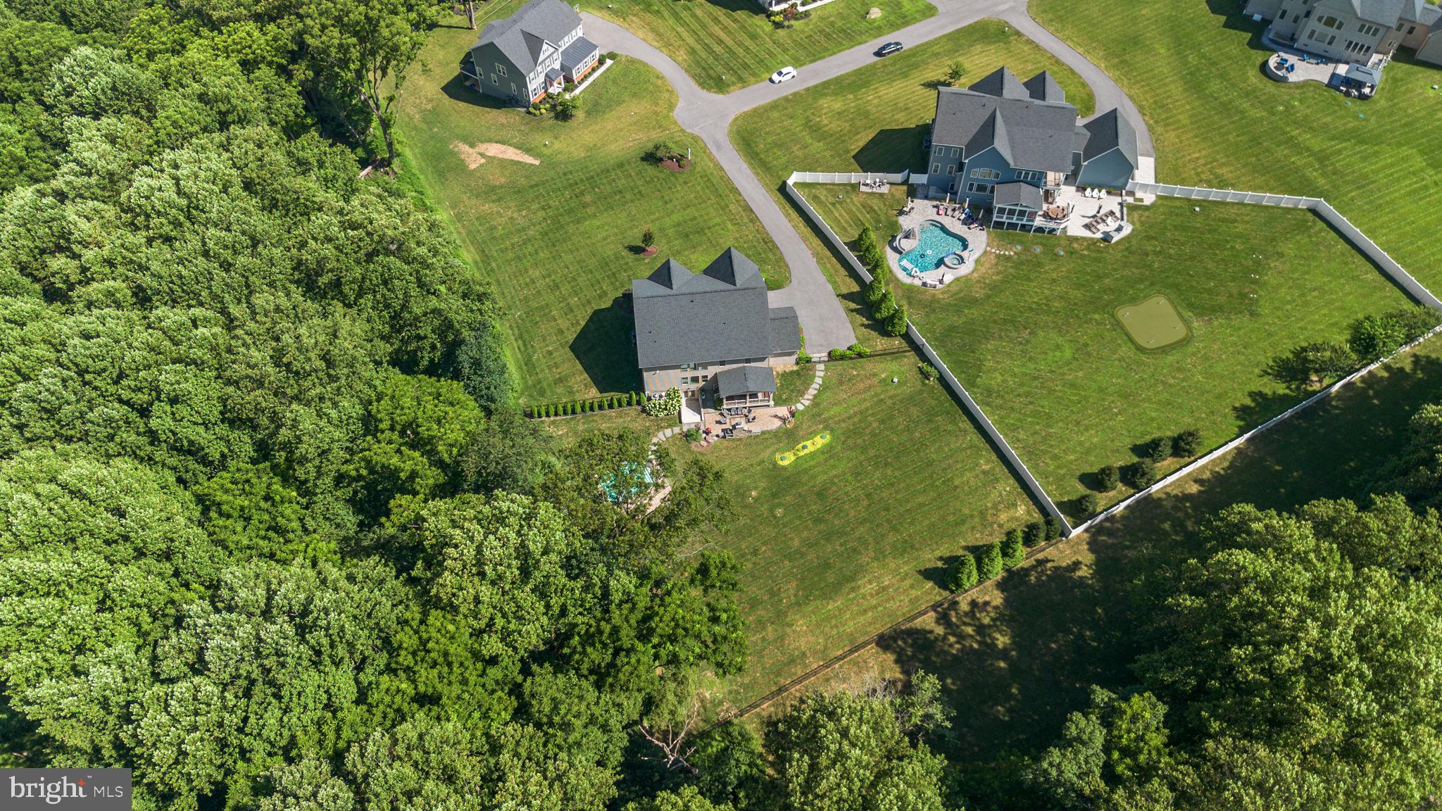 1013 High Stepper Trl