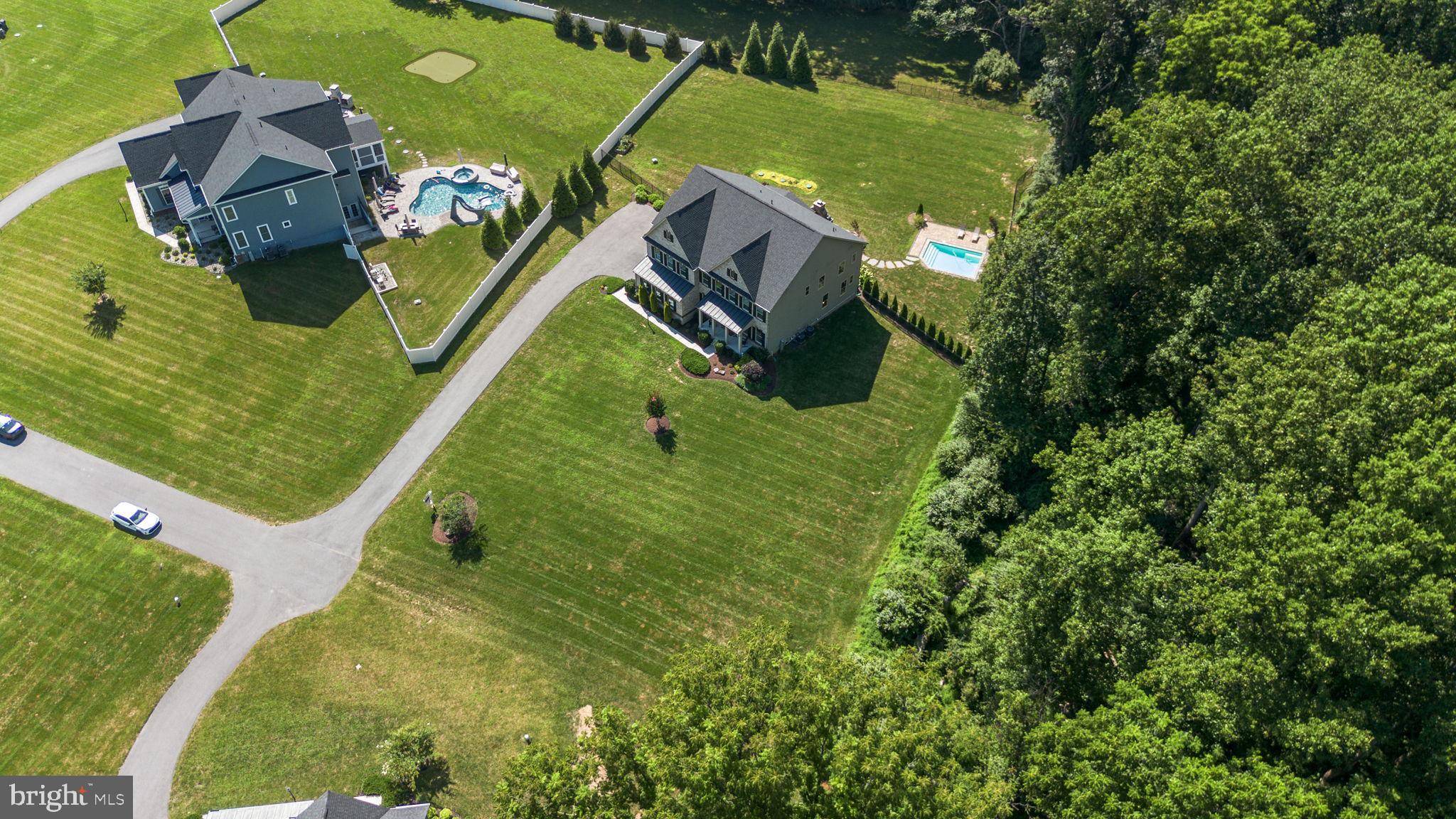 1013 High Stepper Trl