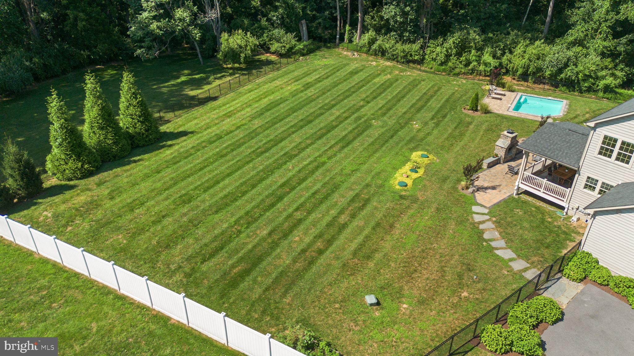 1013 High Stepper Trl