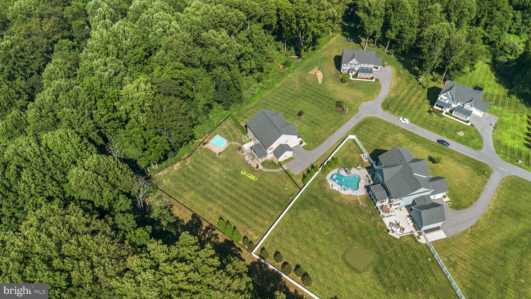 1013 High Stepper Trl