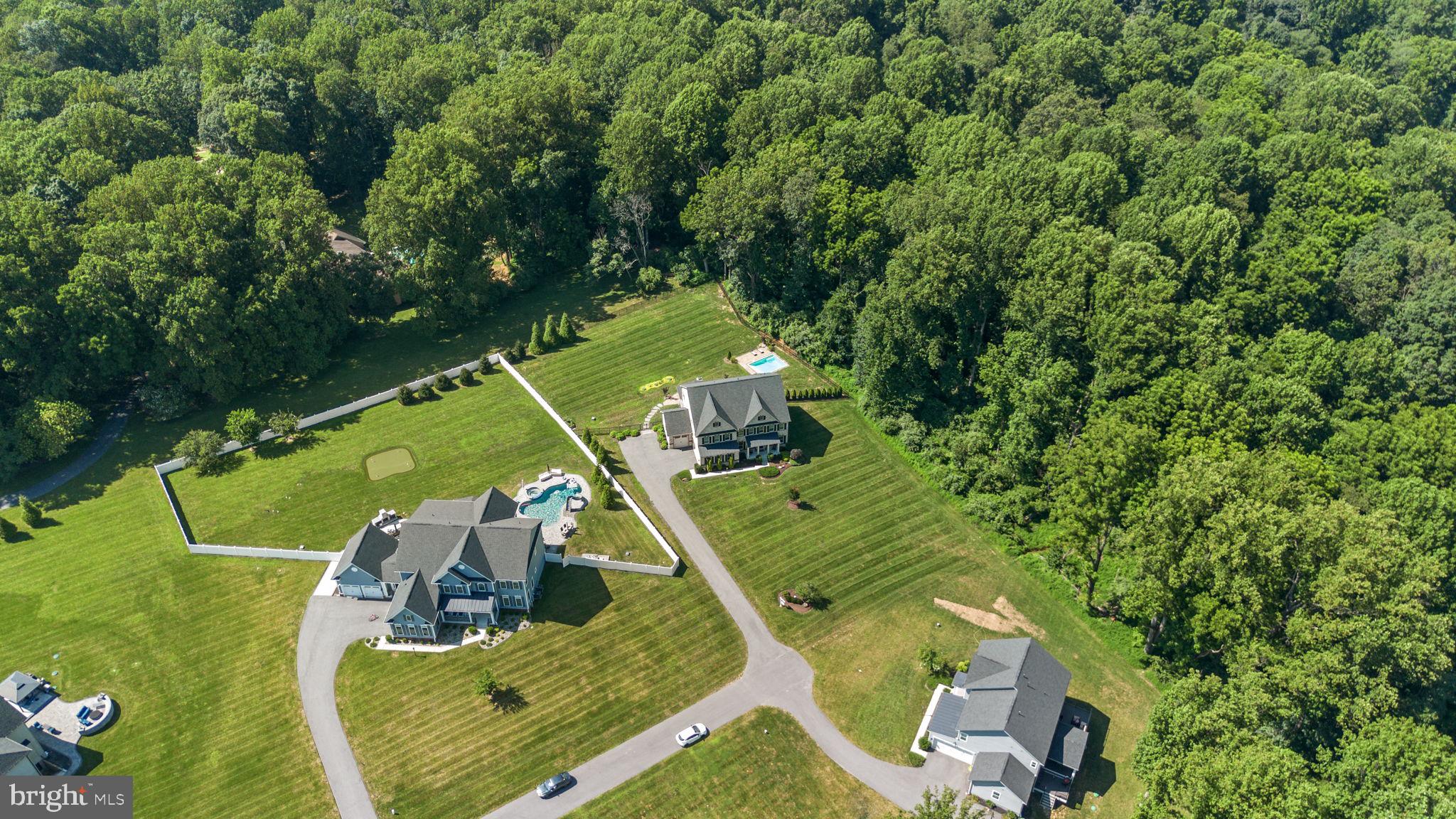 1013 High Stepper Trl