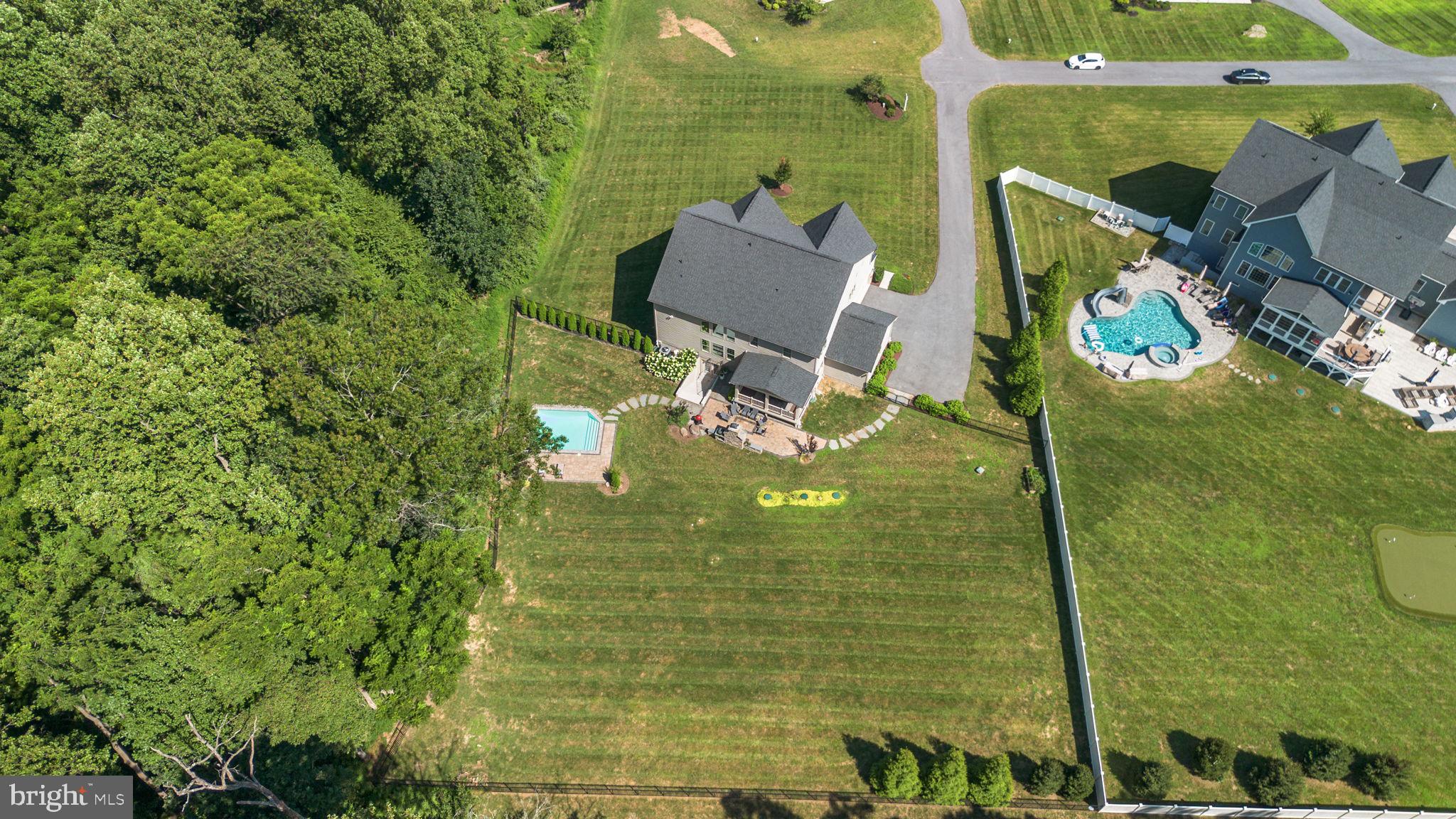 1013 High Stepper Trl