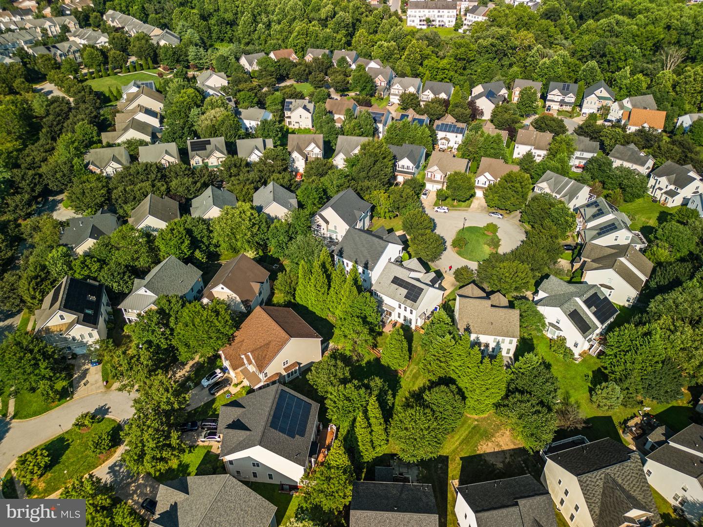 10120 Summer Glow Walk