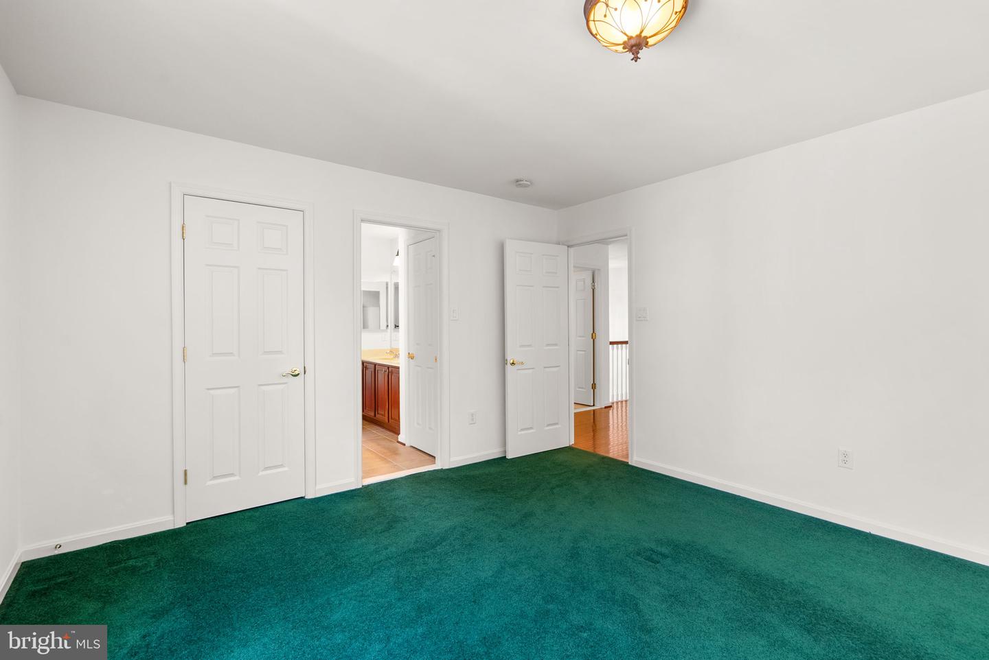 10120 Summer Glow Walk