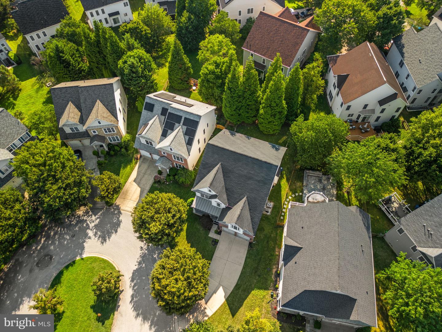 10120 Summer Glow Walk