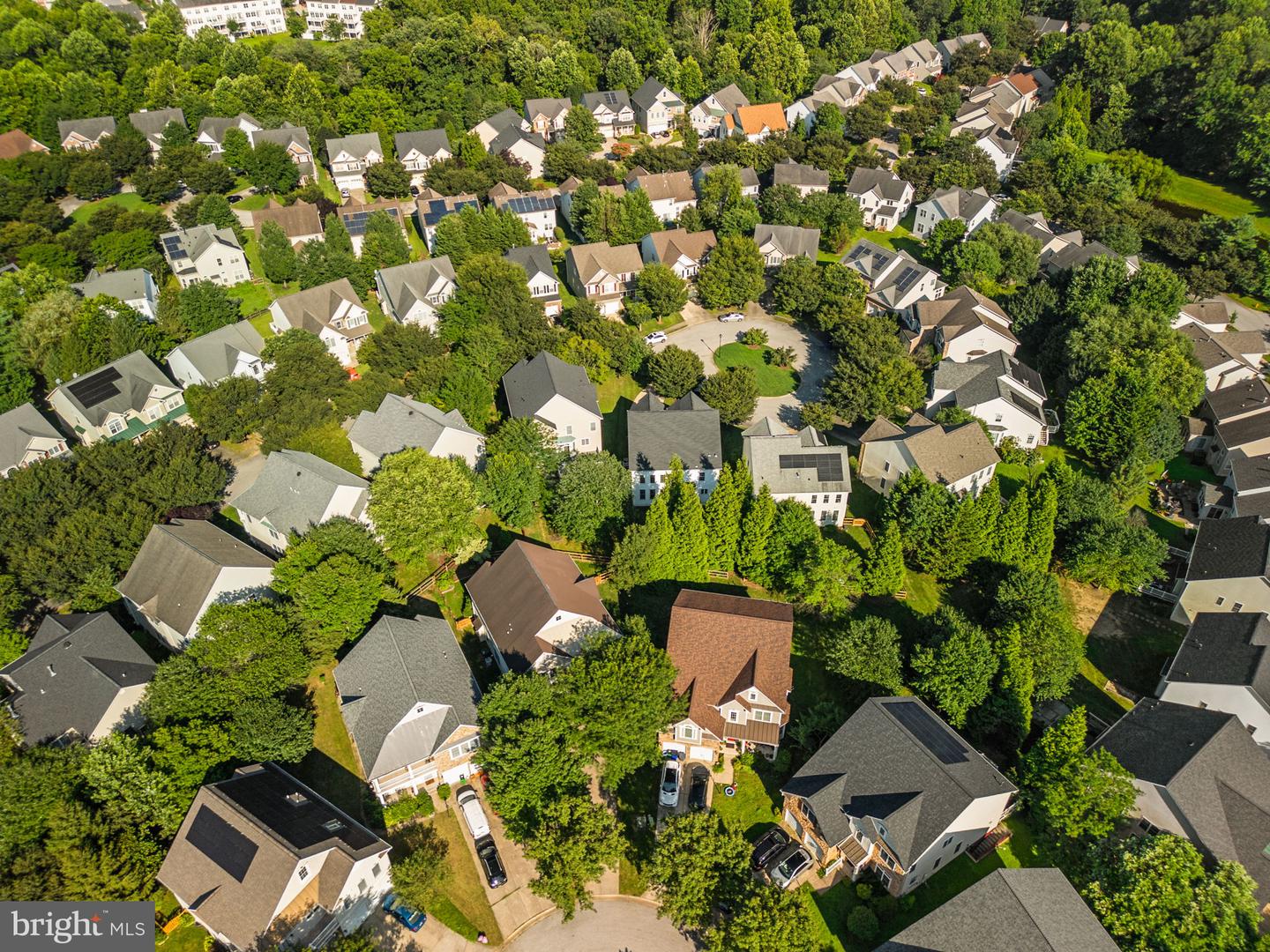 10120 Summer Glow Walk