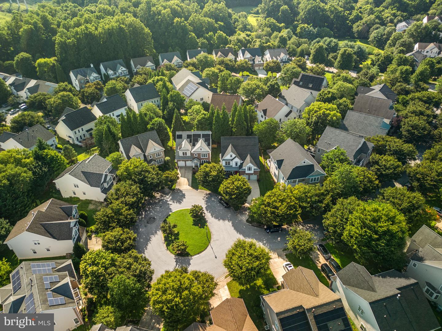 10120 Summer Glow Walk