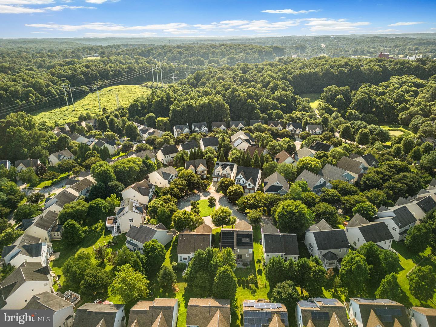 10120 Summer Glow Walk