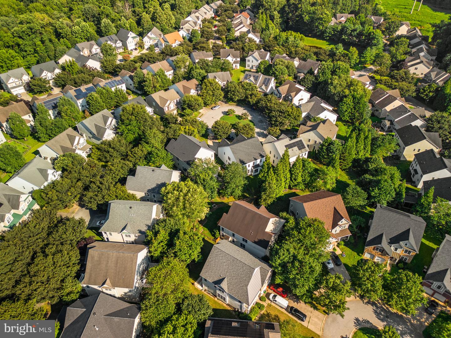 10120 Summer Glow Walk